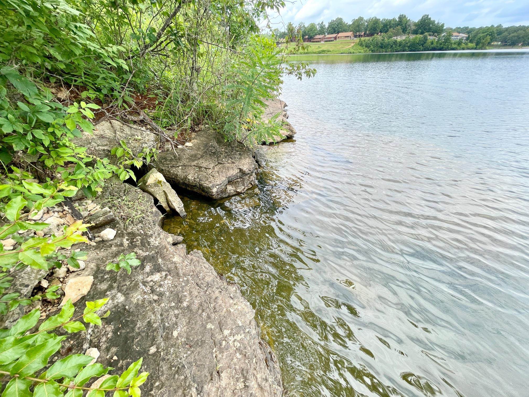 Photo 10 - Vacant Land for sale – 300  Isabella   Horseshoe Bend, AR