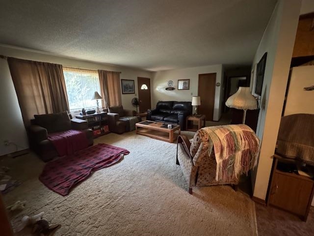 Photo 11 - Residential for sale – 203 E Green Valley Drive   Horseshoe Bend, AR