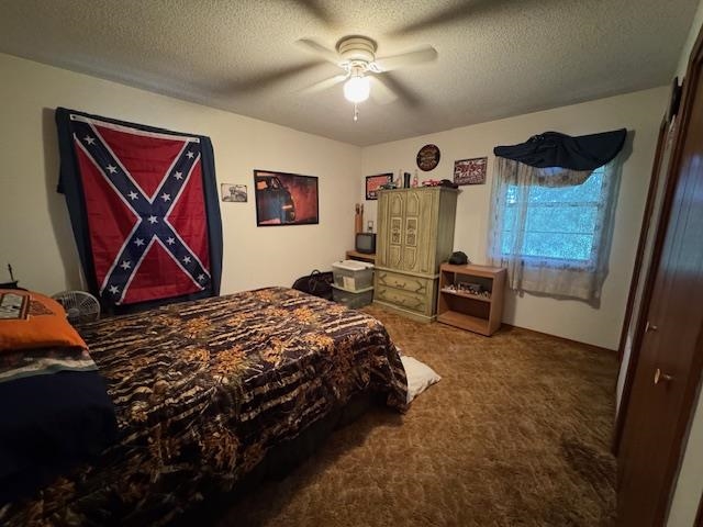 Photo 15 - Residential for sale – 203 E Green Valley Drive   Horseshoe Bend, AR