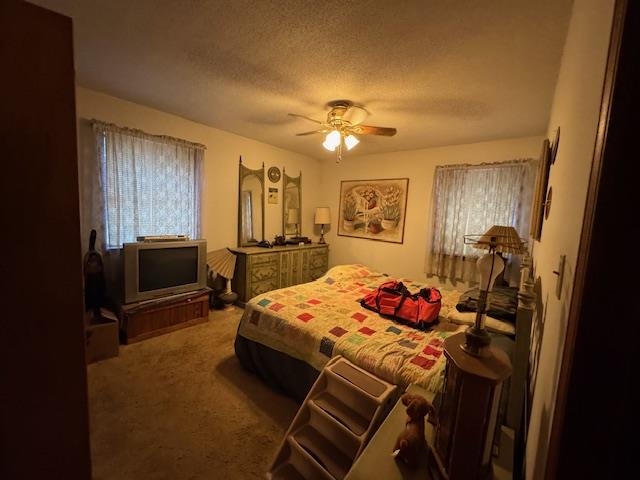 Photo 19 - Residential for sale – 203 E Green Valley Drive   Horseshoe Bend, AR