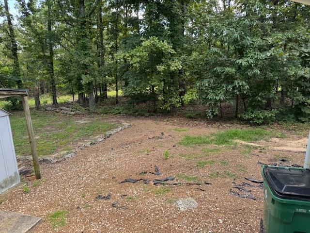 Photo 5 - Residential for sale – 203 E Green Valley Drive   Horseshoe Bend, AR