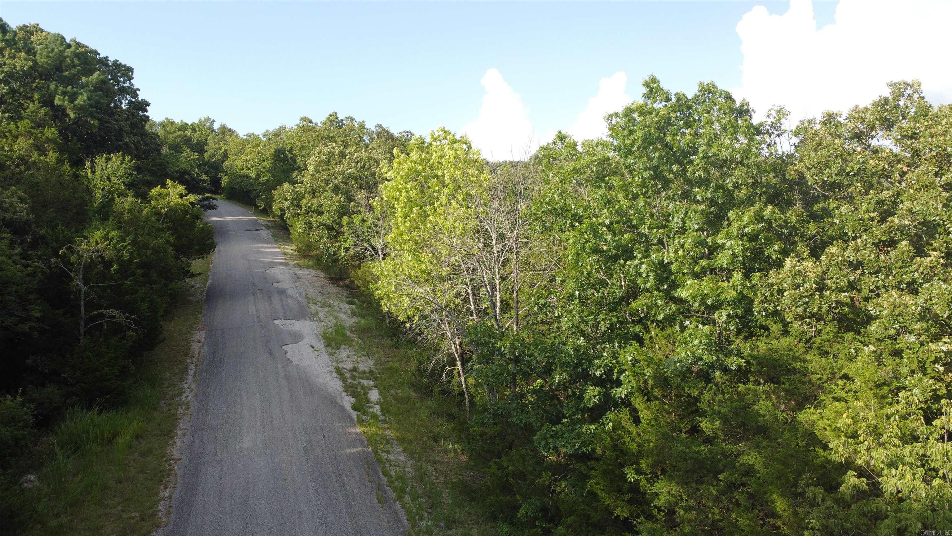 Photo 2 - Vacant Land for sale – 1310  Michigan Ave   Horseshoe Bend, AR