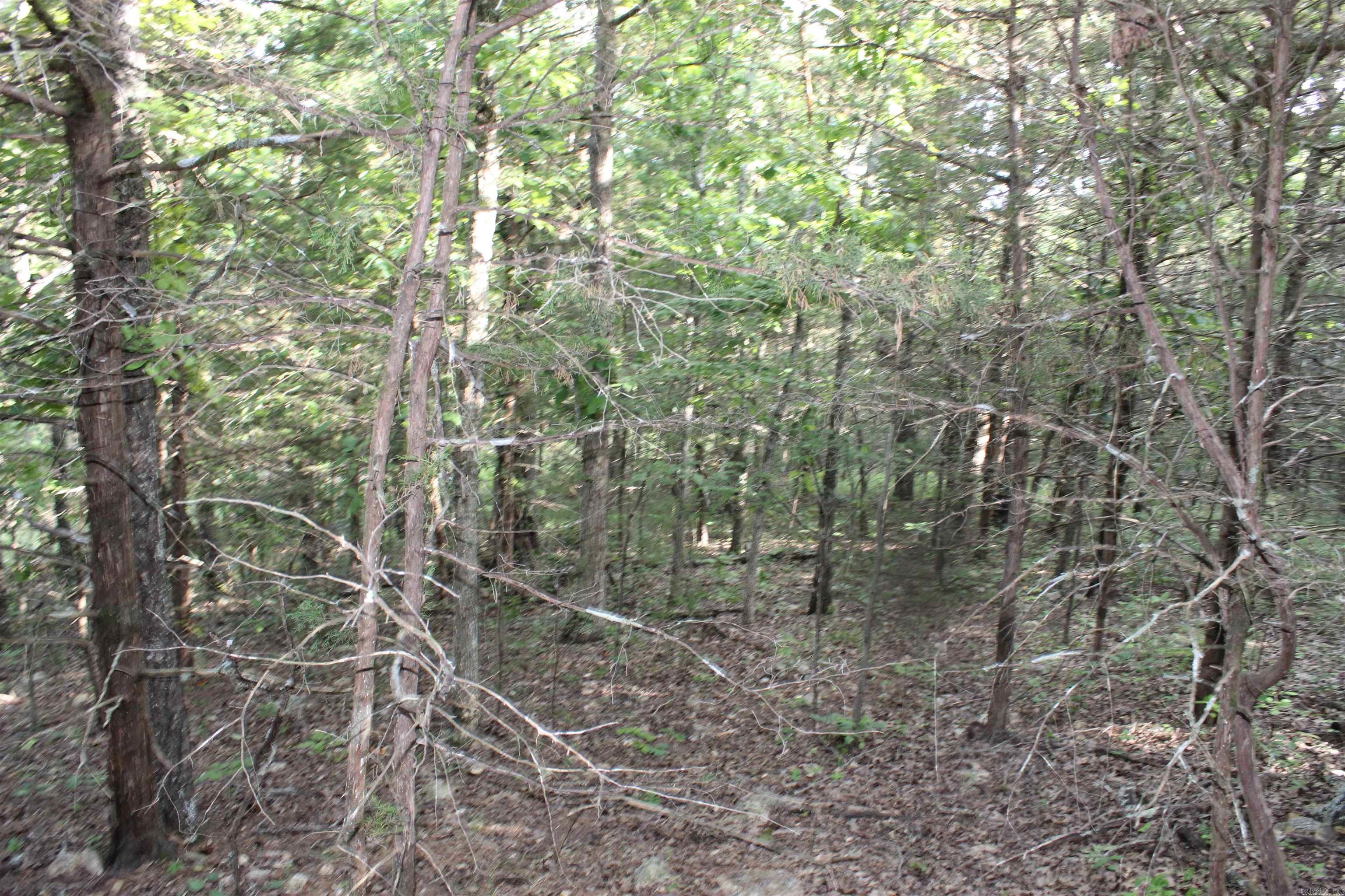 Photo 11 - Vacant Land for sale – 1310  Michigan Ave   Horseshoe Bend, AR