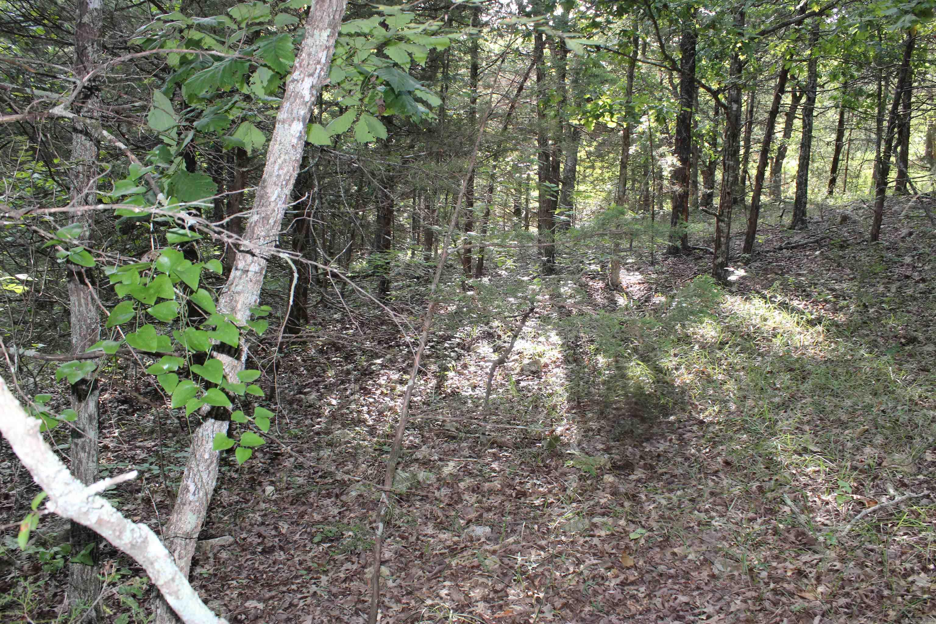 Photo 12 - Vacant Land for sale – 1310  Michigan Ave   Horseshoe Bend, AR