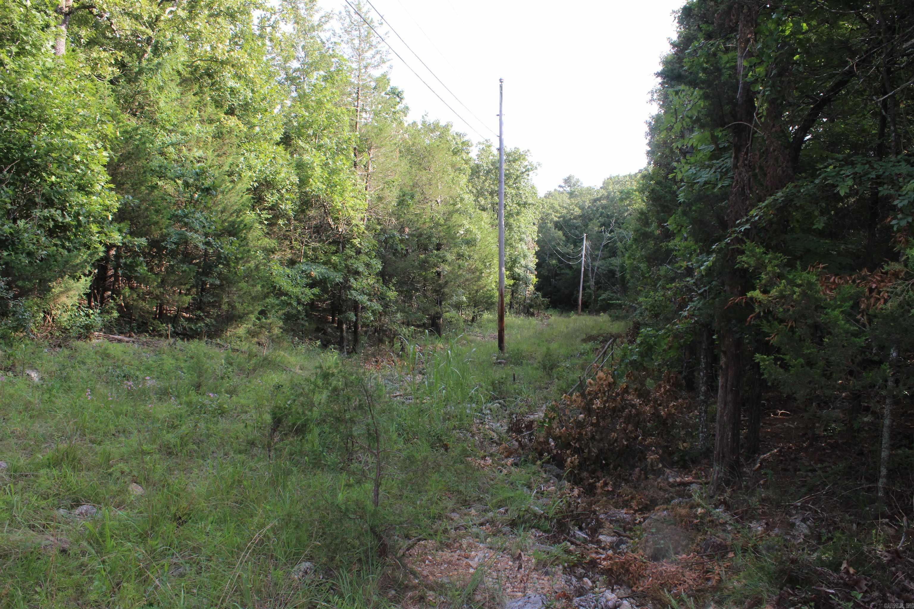 Photo 13 - Vacant Land for sale – 1310  Michigan Ave   Horseshoe Bend, AR