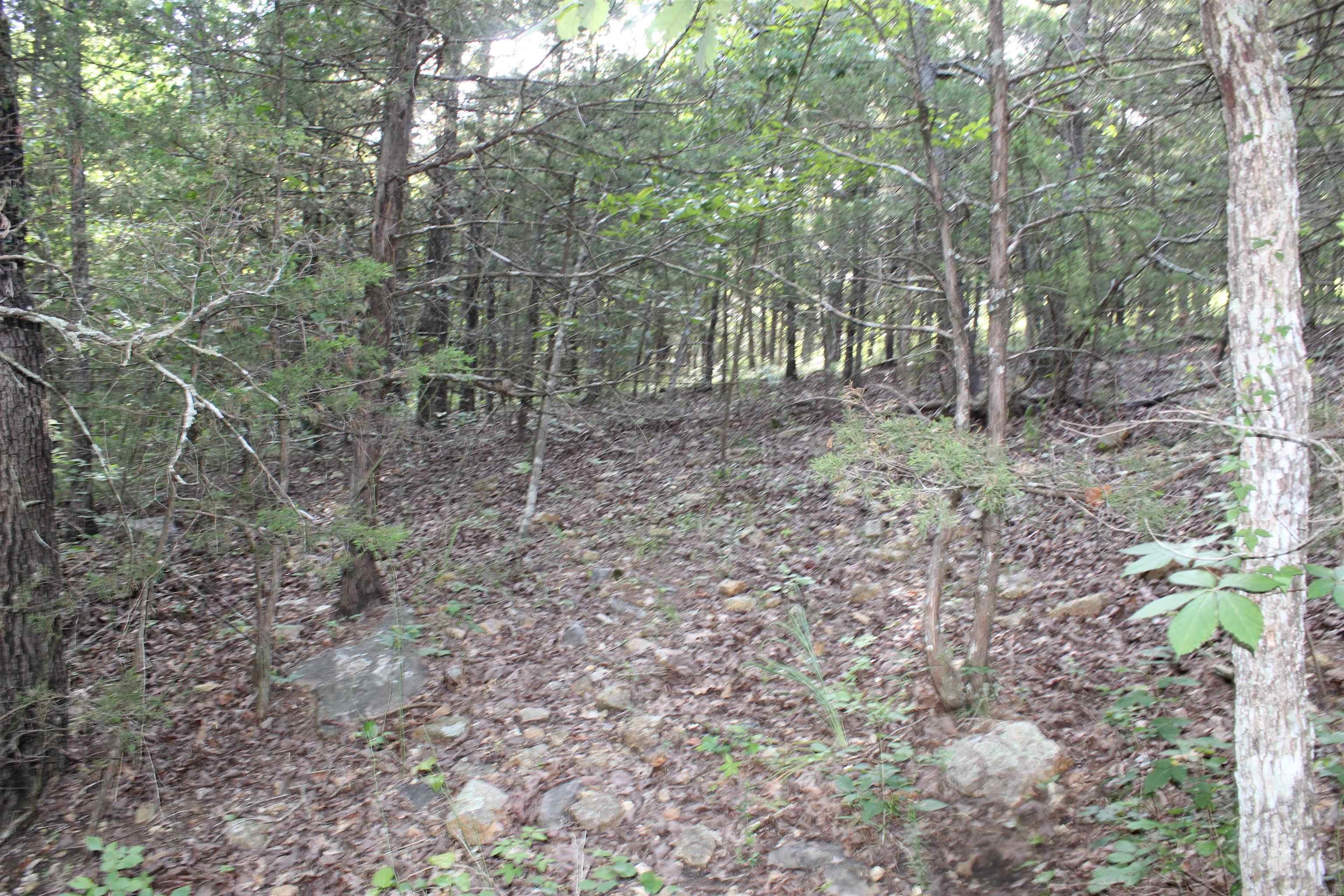 Photo 14 - Vacant Land for sale – 1310  Michigan Ave   Horseshoe Bend, AR