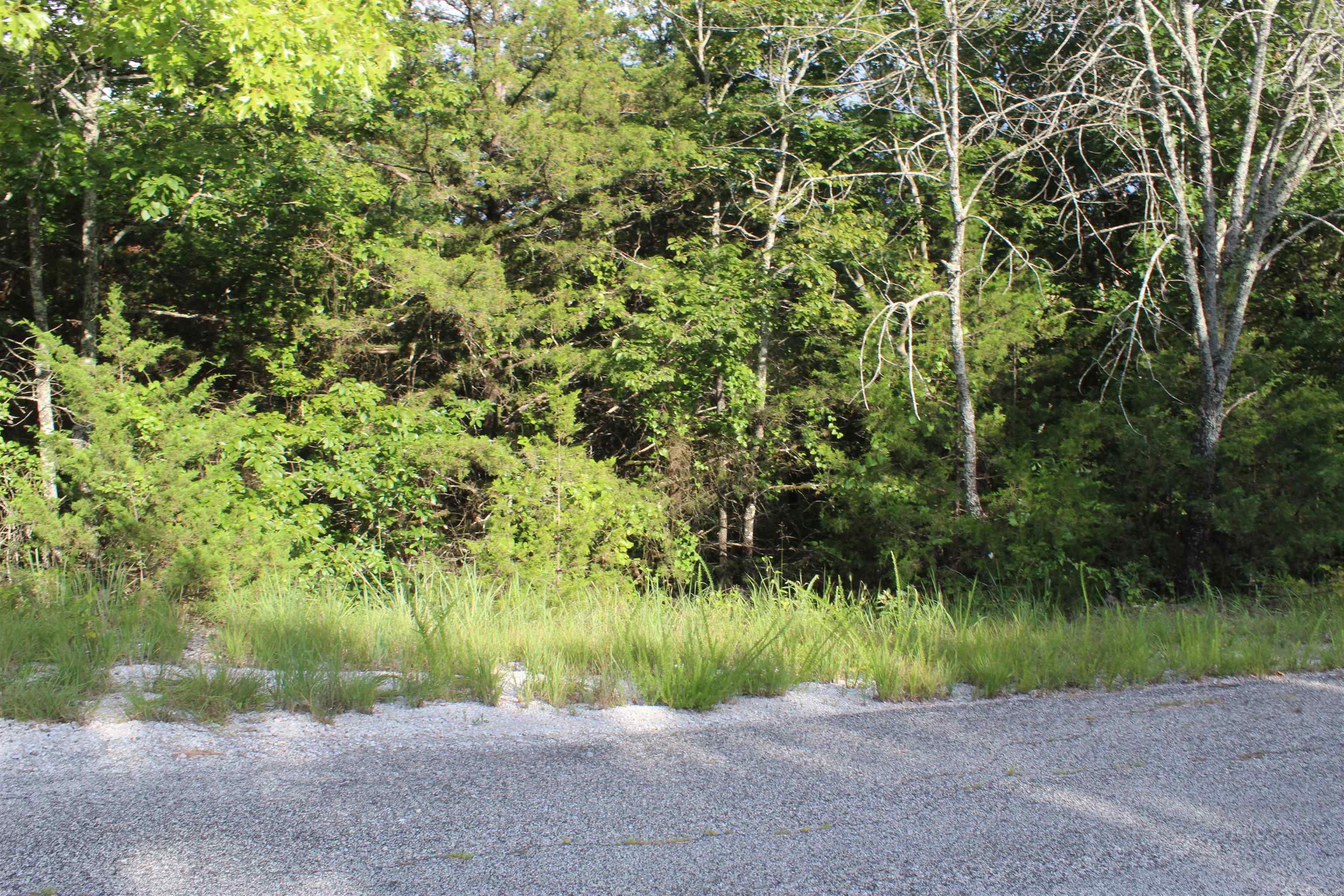 Photo 15 - Vacant Land for sale – 1310  Michigan Ave   Horseshoe Bend, AR