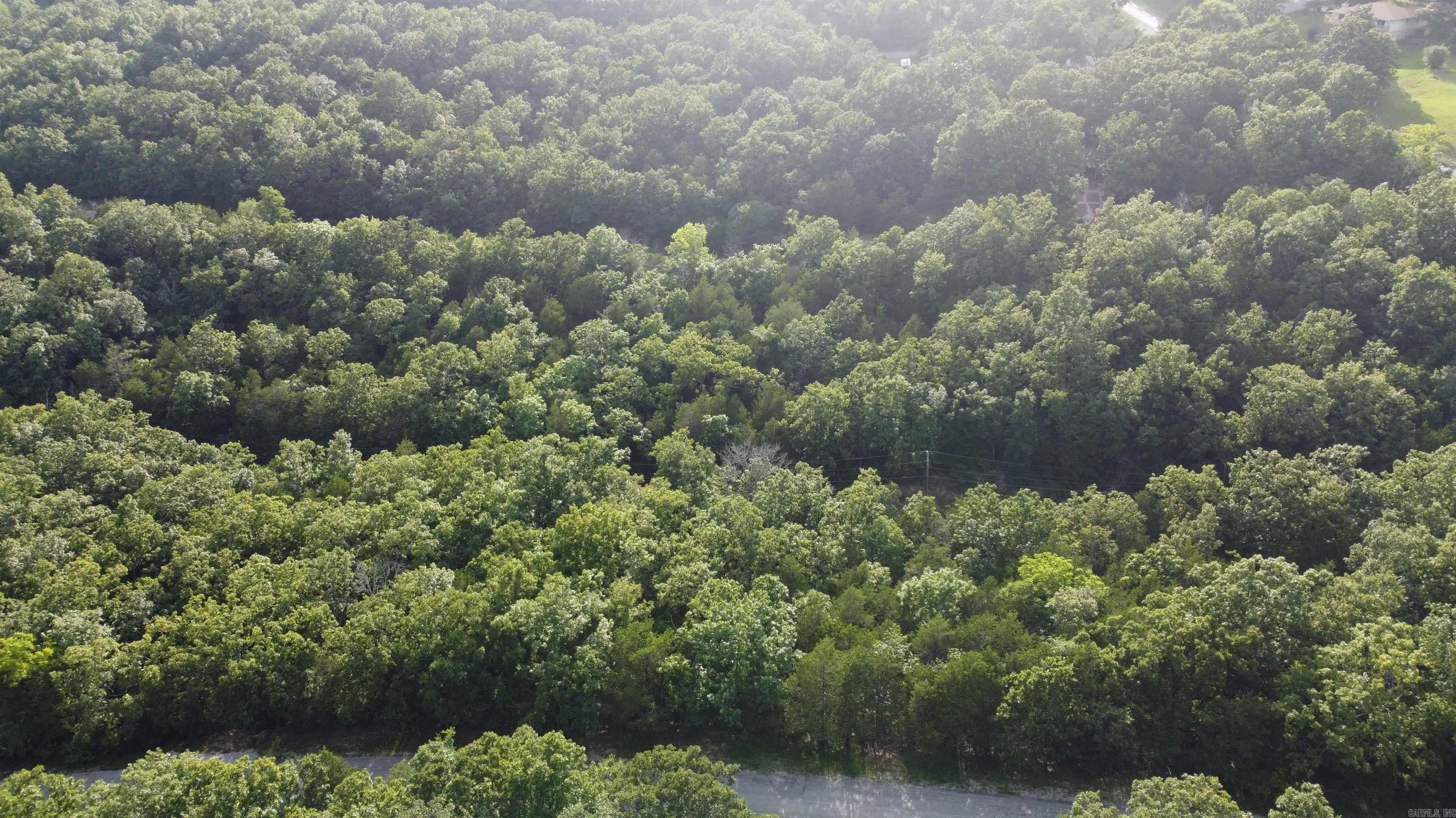 Photo 4 - Vacant Land for sale – 1310  Michigan Ave   Horseshoe Bend, AR