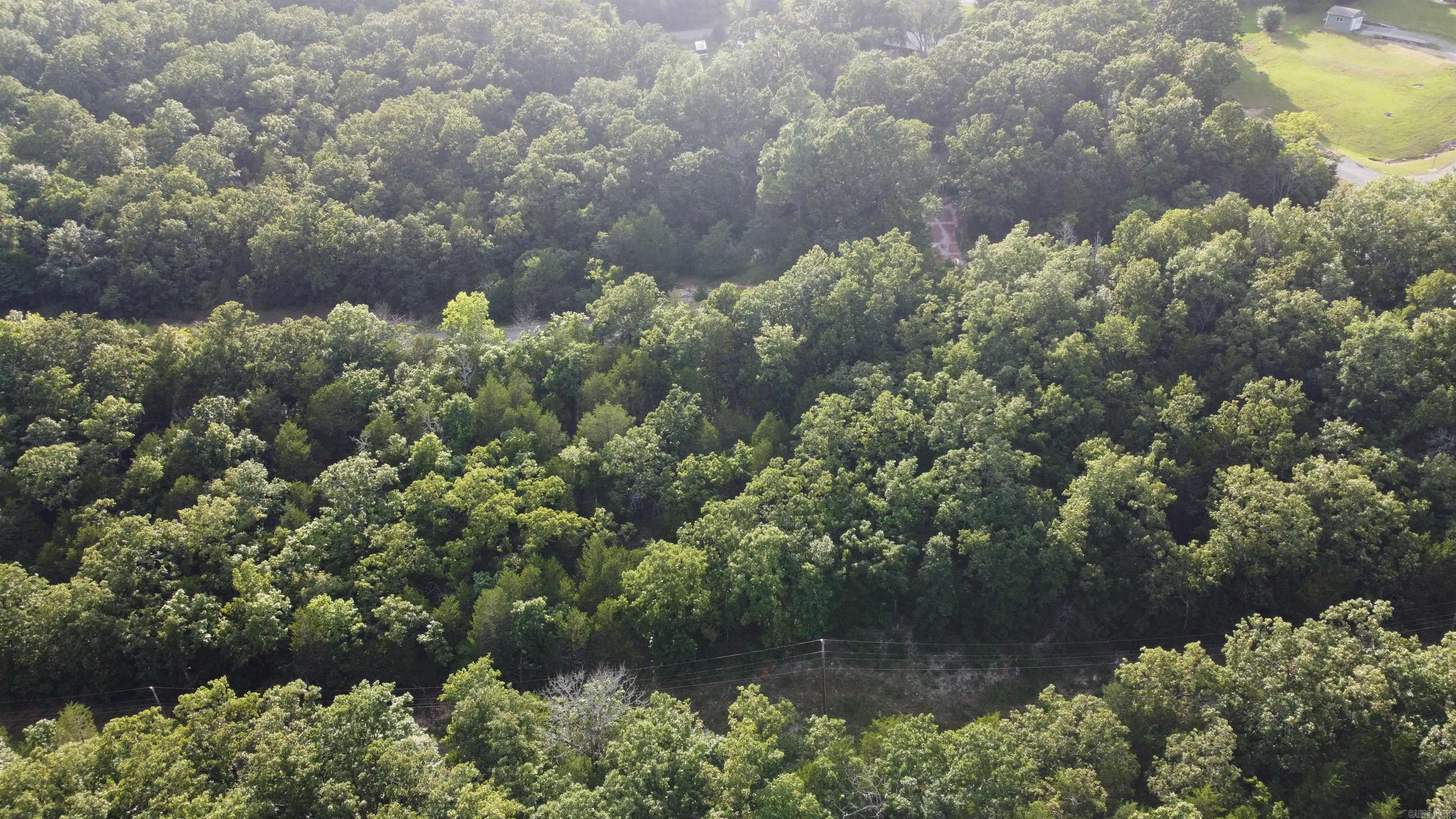 Photo 6 - Vacant Land for sale – 1310  Michigan Ave   Horseshoe Bend, AR