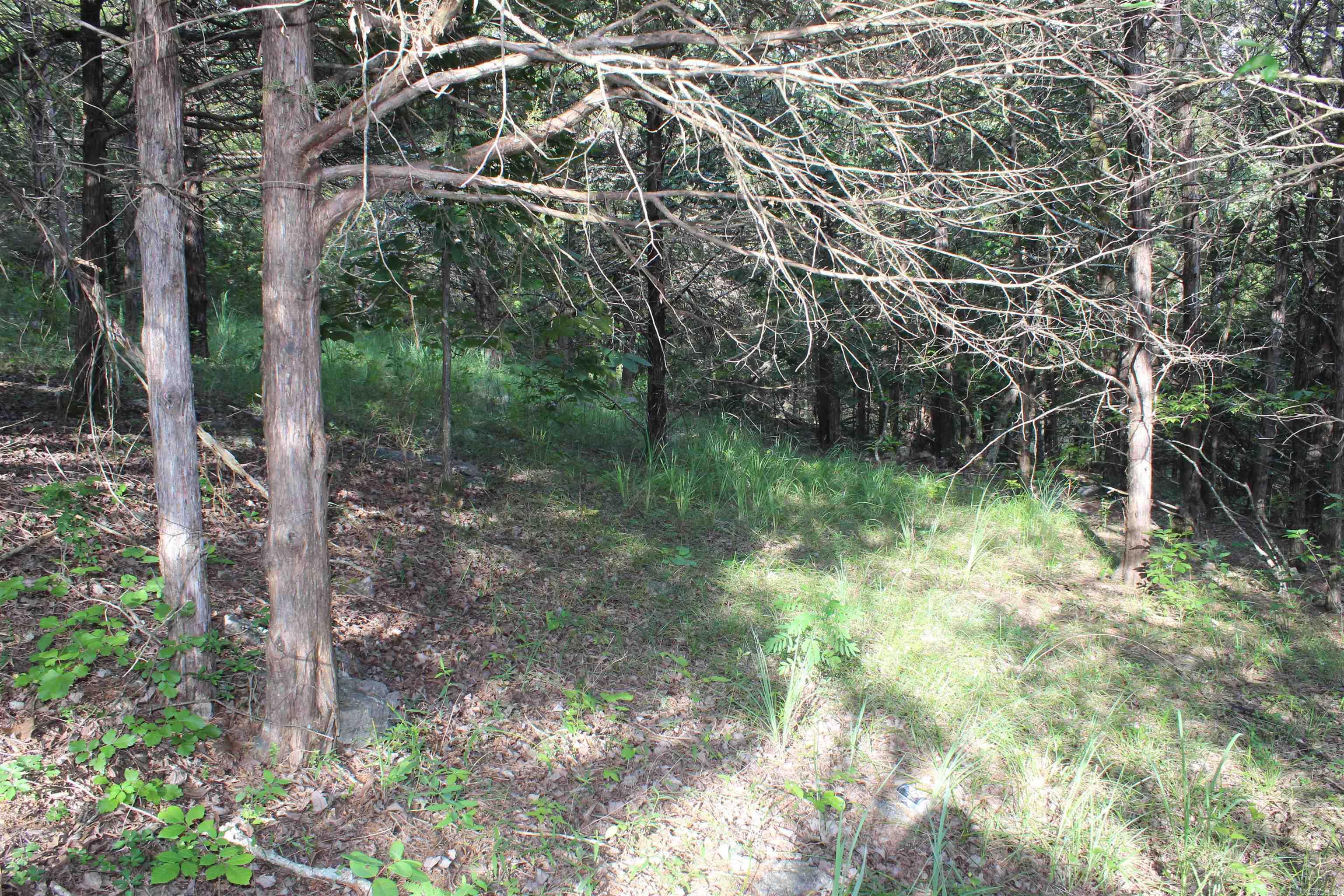 Photo 7 - Vacant Land for sale – 1310  Michigan Ave   Horseshoe Bend, AR