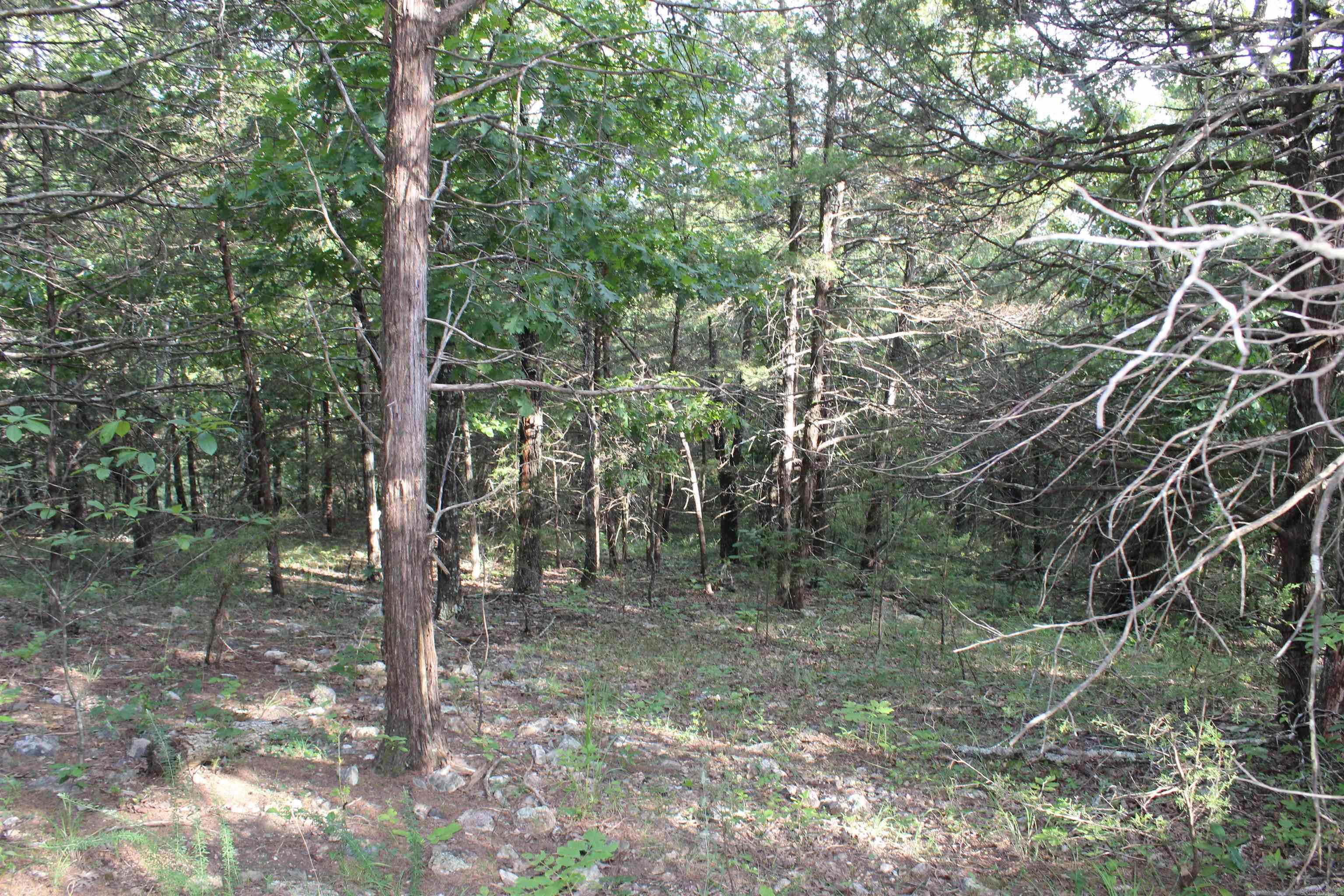 Photo 8 - Vacant Land for sale – 1310  Michigan Ave   Horseshoe Bend, AR
