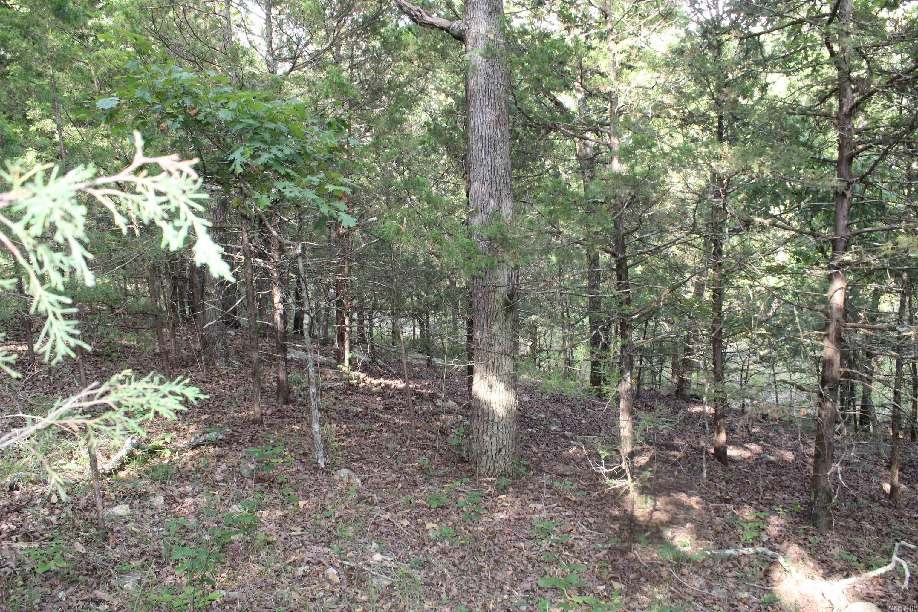 Photo 9 - Vacant Land for sale – 1310  Michigan Ave   Horseshoe Bend, AR