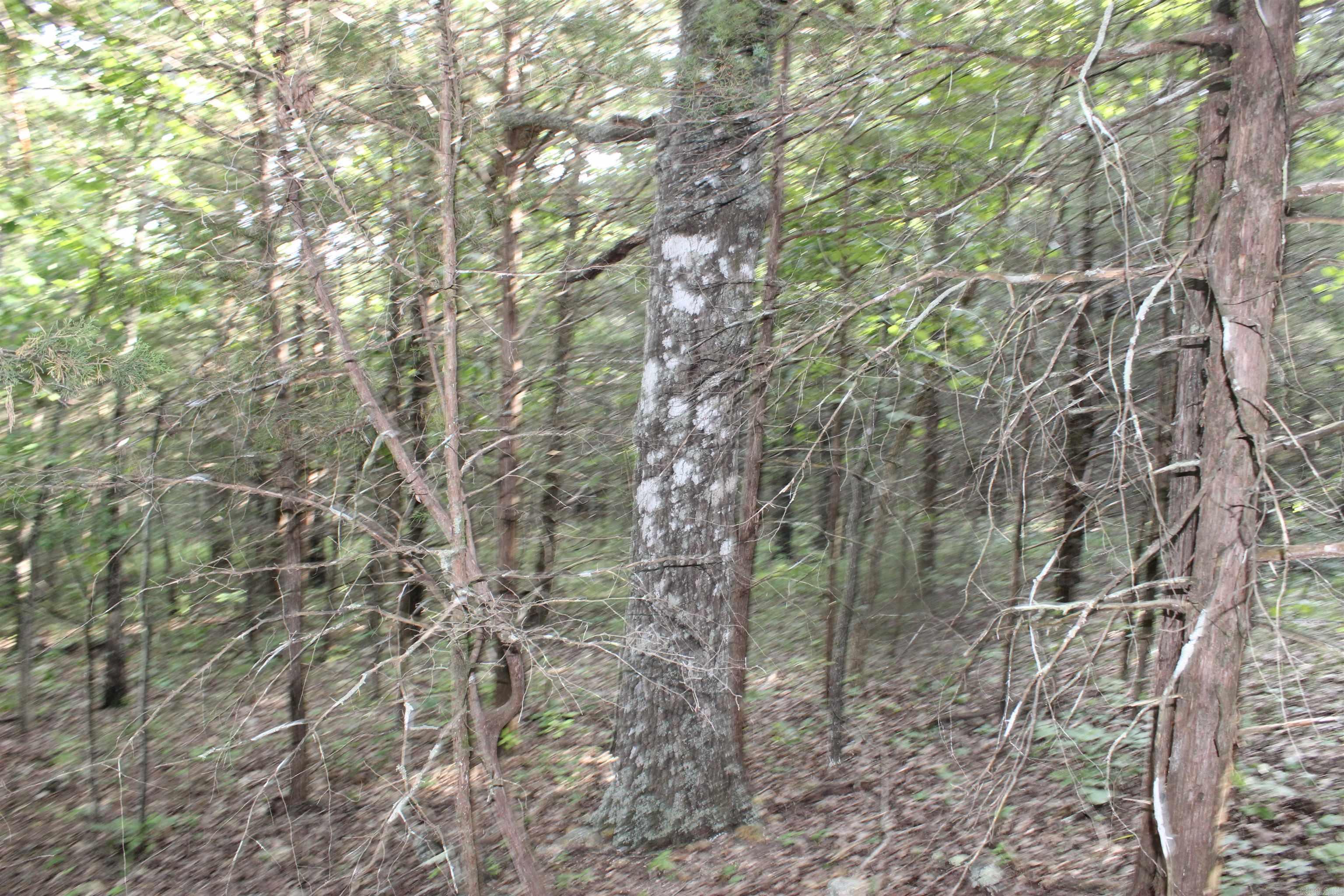 Photo 10 - Vacant Land for sale – 1310  Michigan Ave   Horseshoe Bend, AR