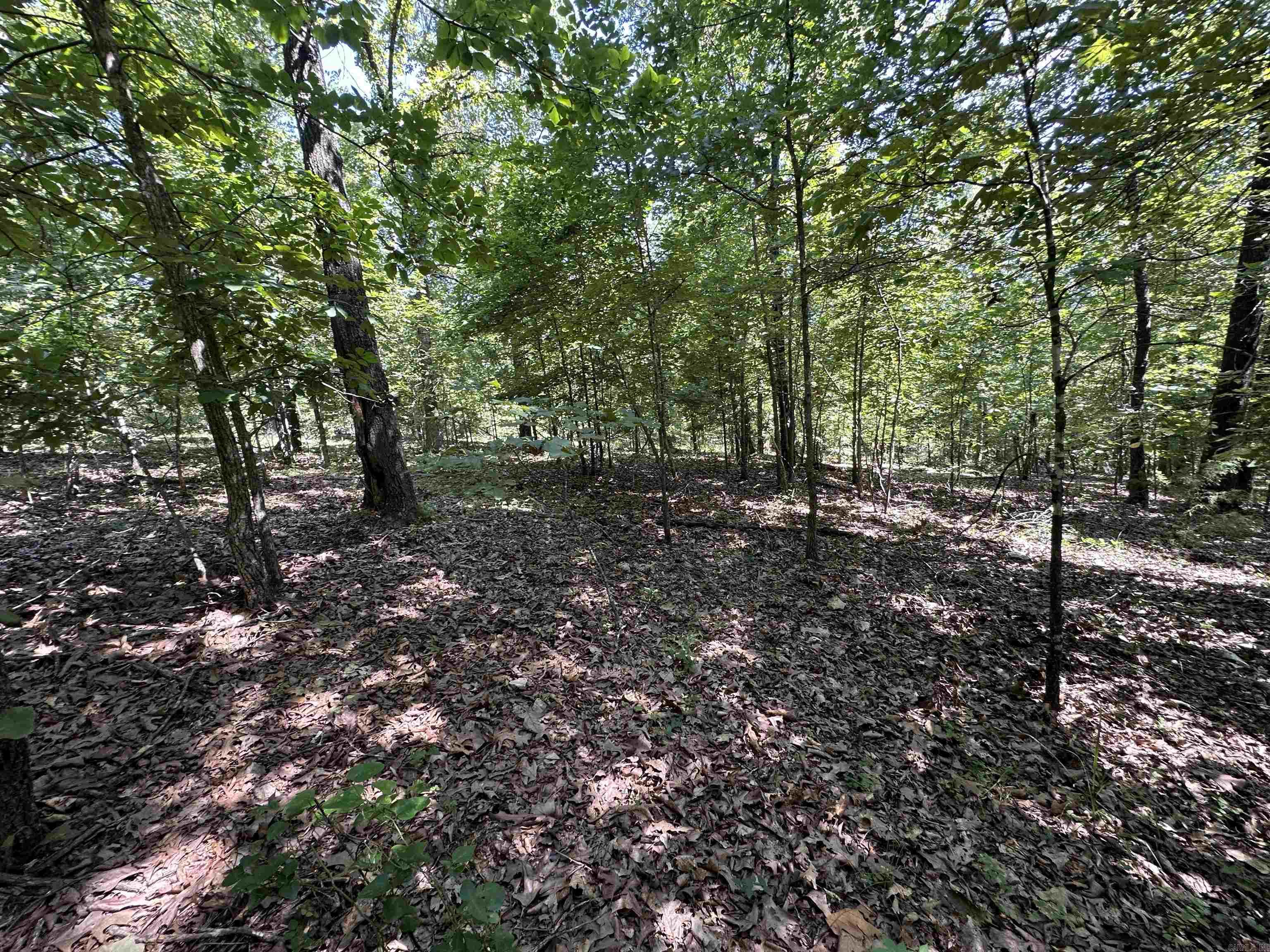 Photo 11 - Vacant Land for sale –   Big Creek Rd   Hardy, AR