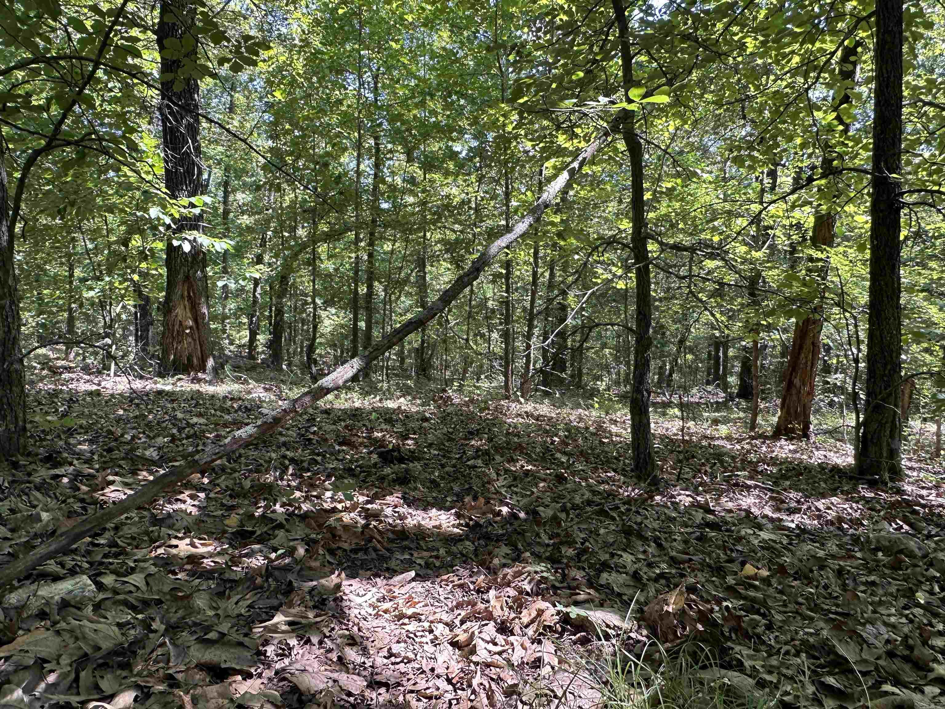 Photo 12 - Vacant Land for sale –   Big Creek Rd   Hardy, AR