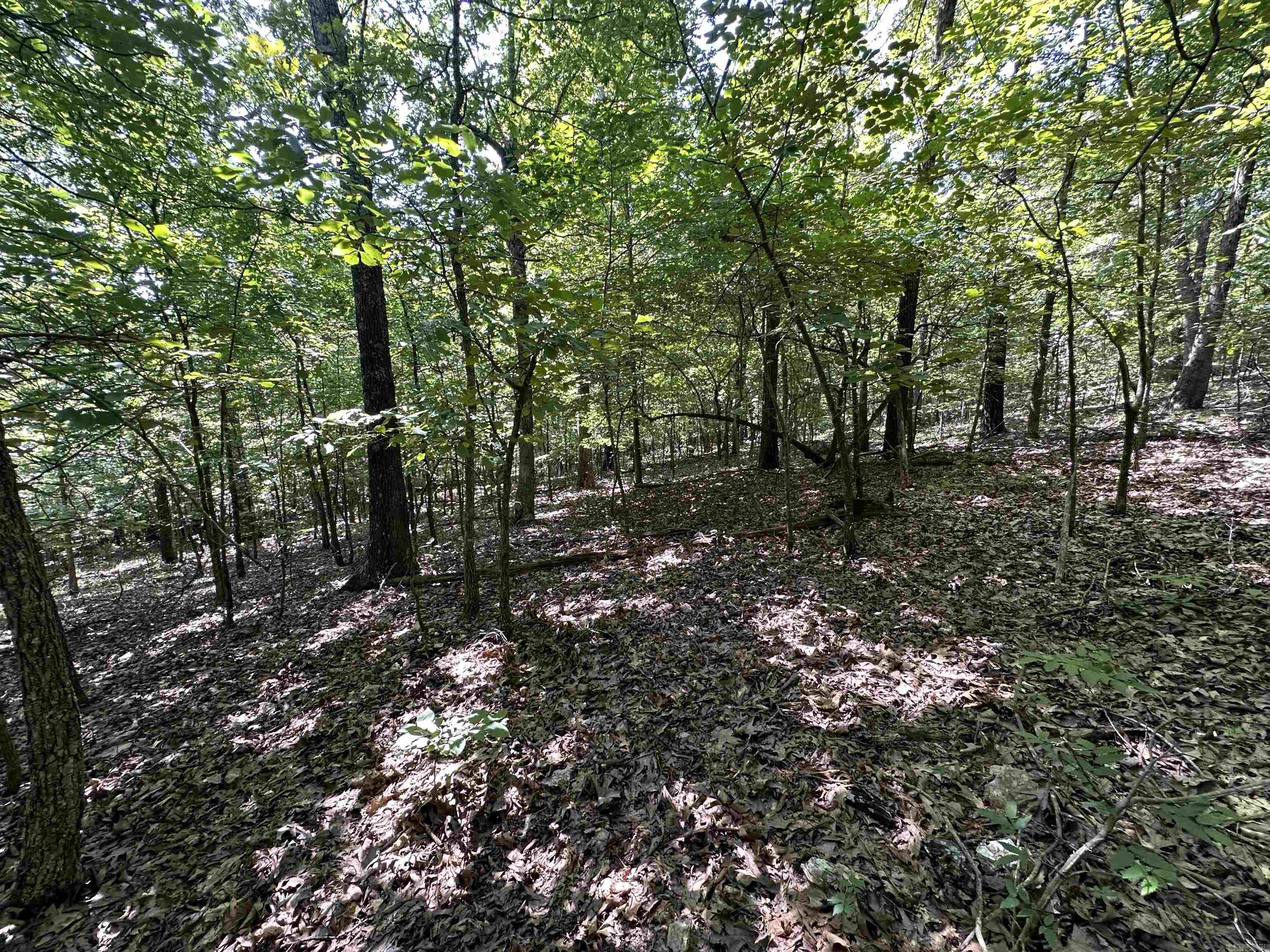 Photo 13 - Vacant Land for sale –   Big Creek Rd   Hardy, AR