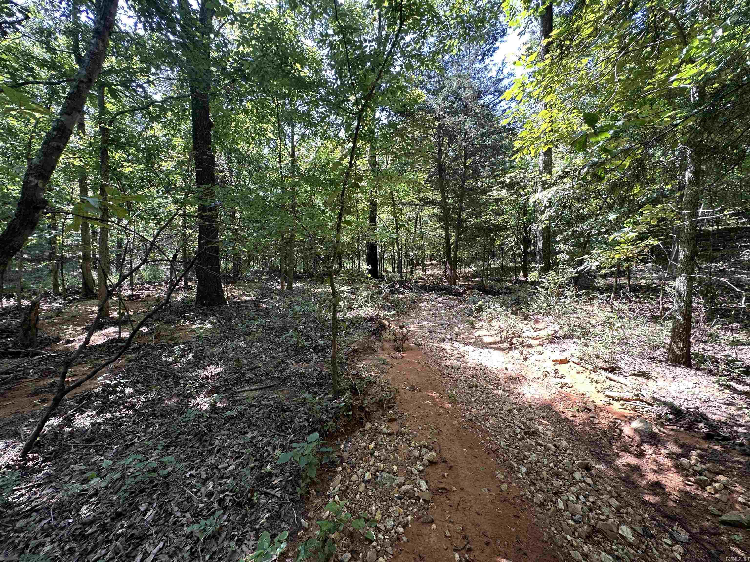Photo 14 - Vacant Land for sale –   Big Creek Rd   Hardy, AR