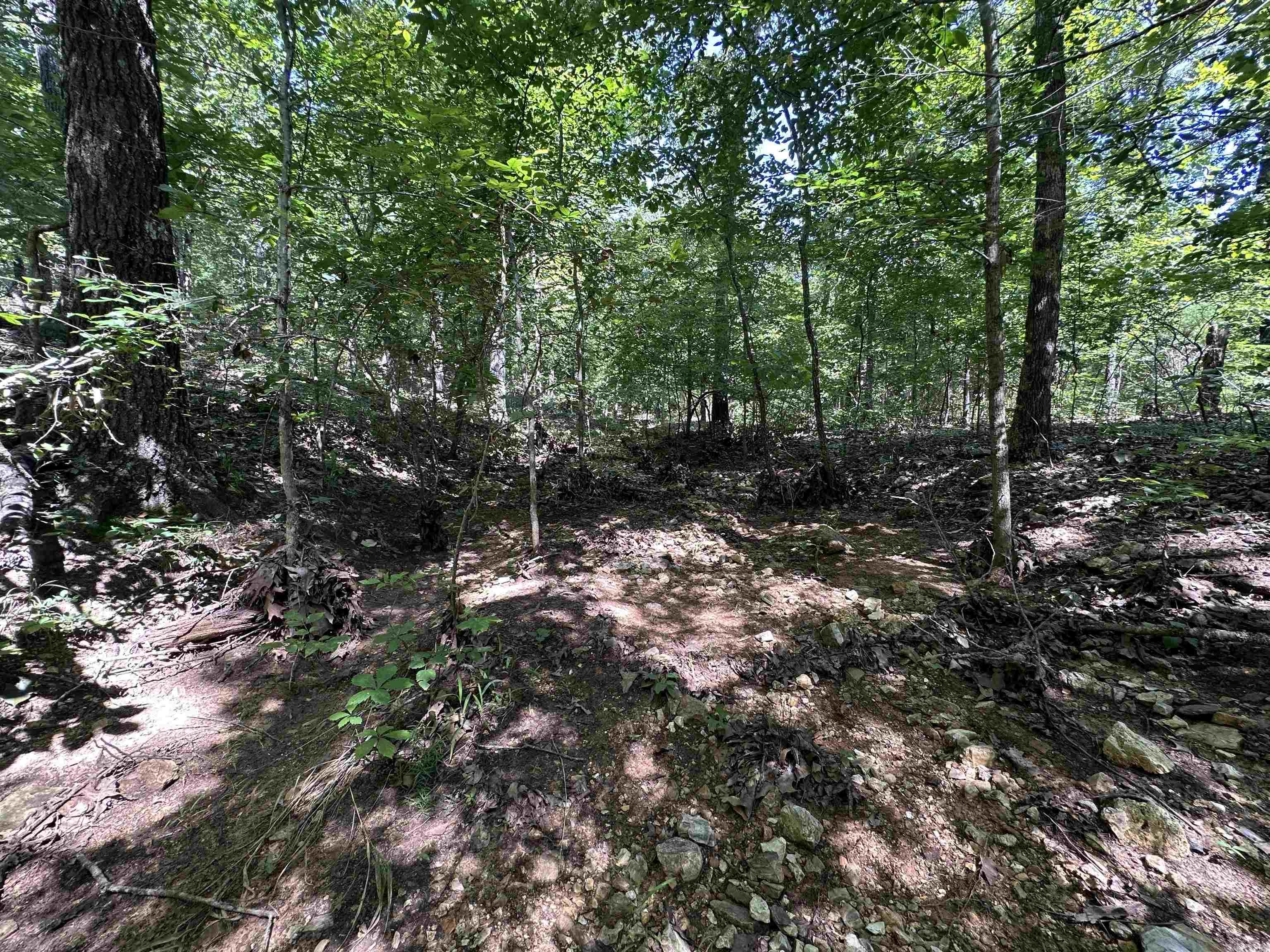 Photo 15 - Vacant Land for sale –   Big Creek Rd   Hardy, AR