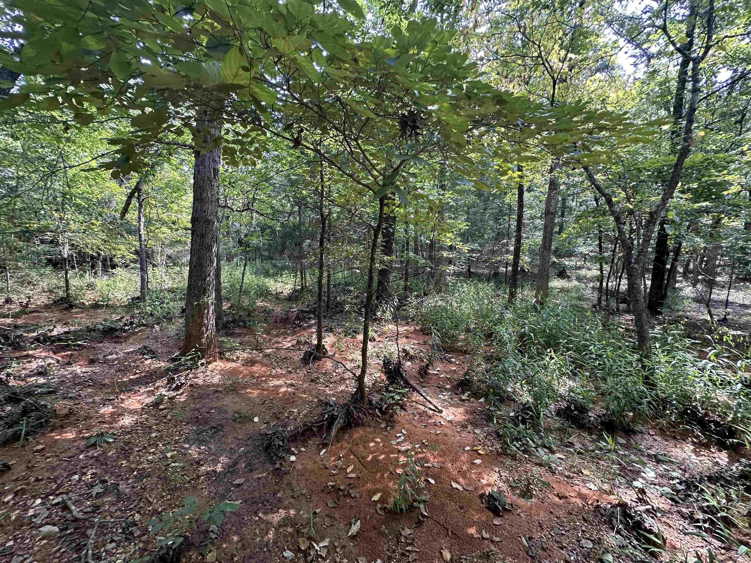 Photo 16 - Vacant Land for sale –   Big Creek Rd   Hardy, AR