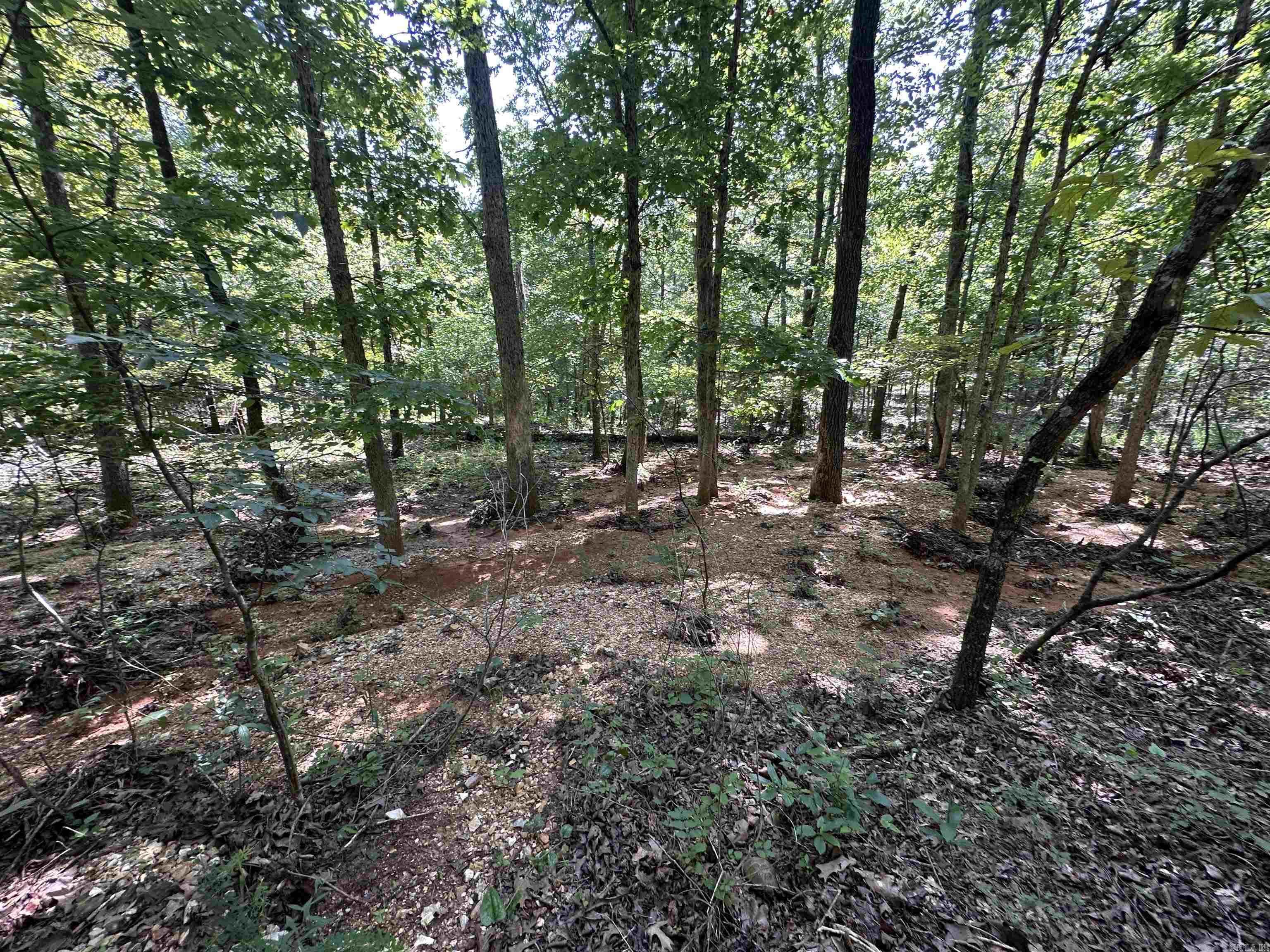 Photo 18 - Vacant Land for sale –   Big Creek Rd   Hardy, AR