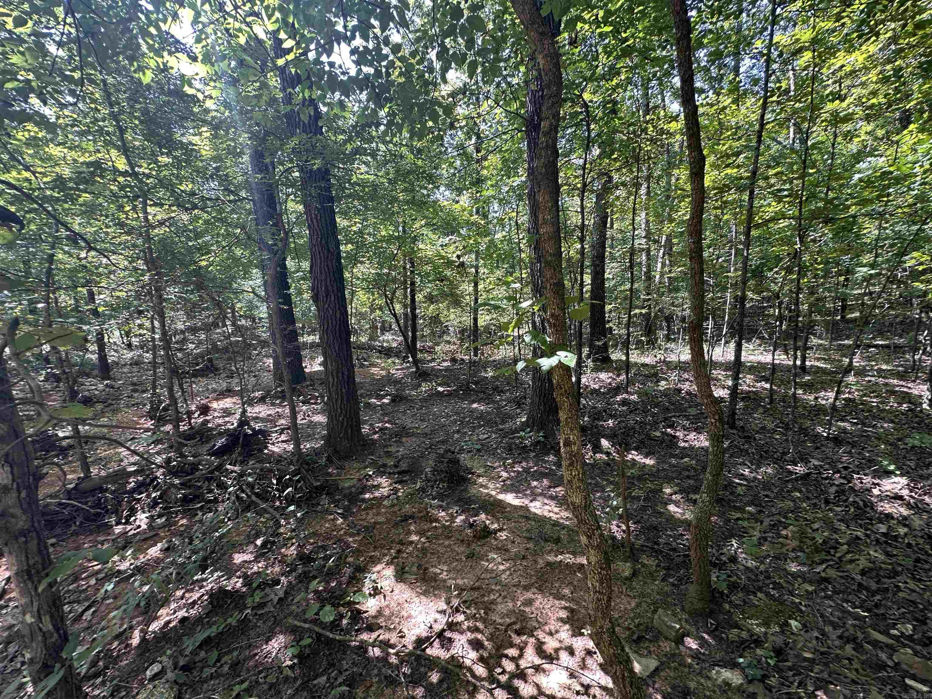 Photo 19 - Vacant Land for sale –   Big Creek Rd   Hardy, AR
