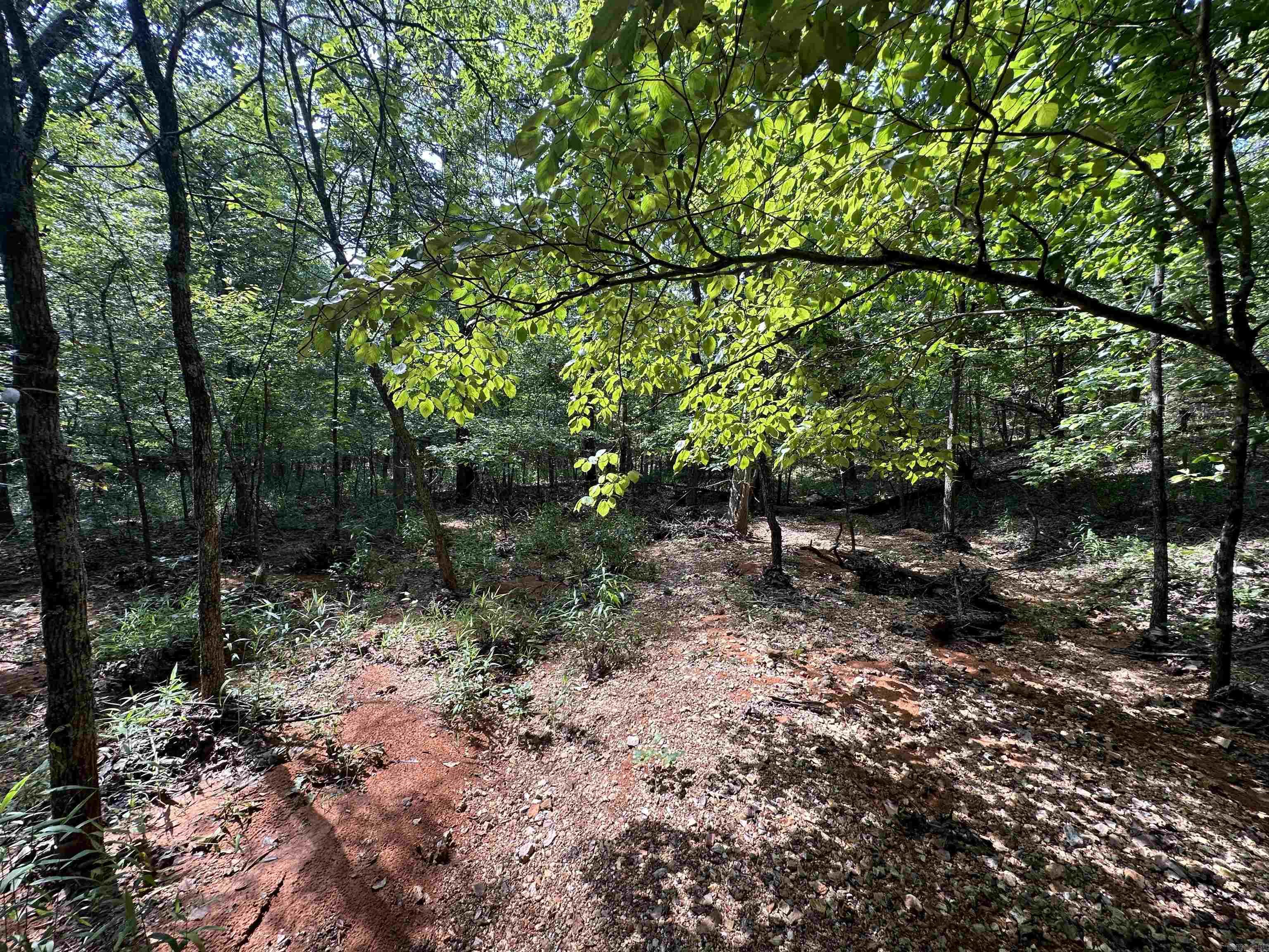 Photo 20 - Vacant Land for sale –   Big Creek Rd   Hardy, AR