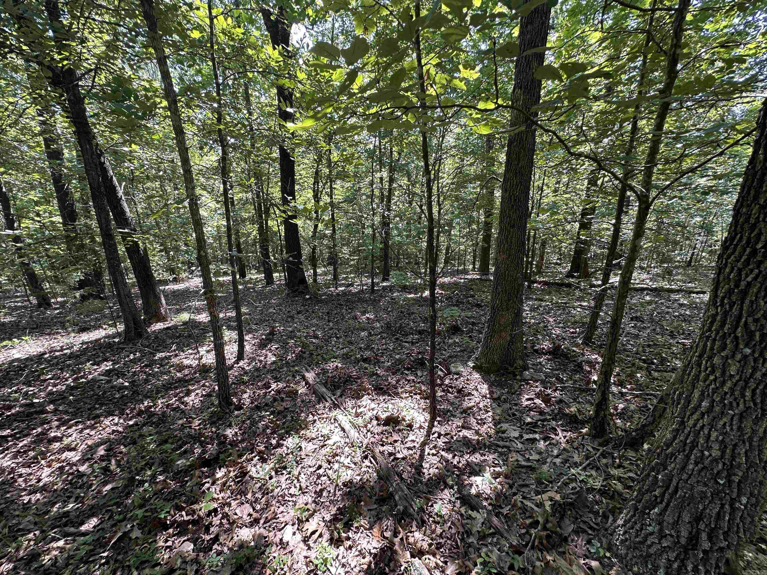 Photo 3 - Vacant Land for sale –   Big Creek Rd   Hardy, AR