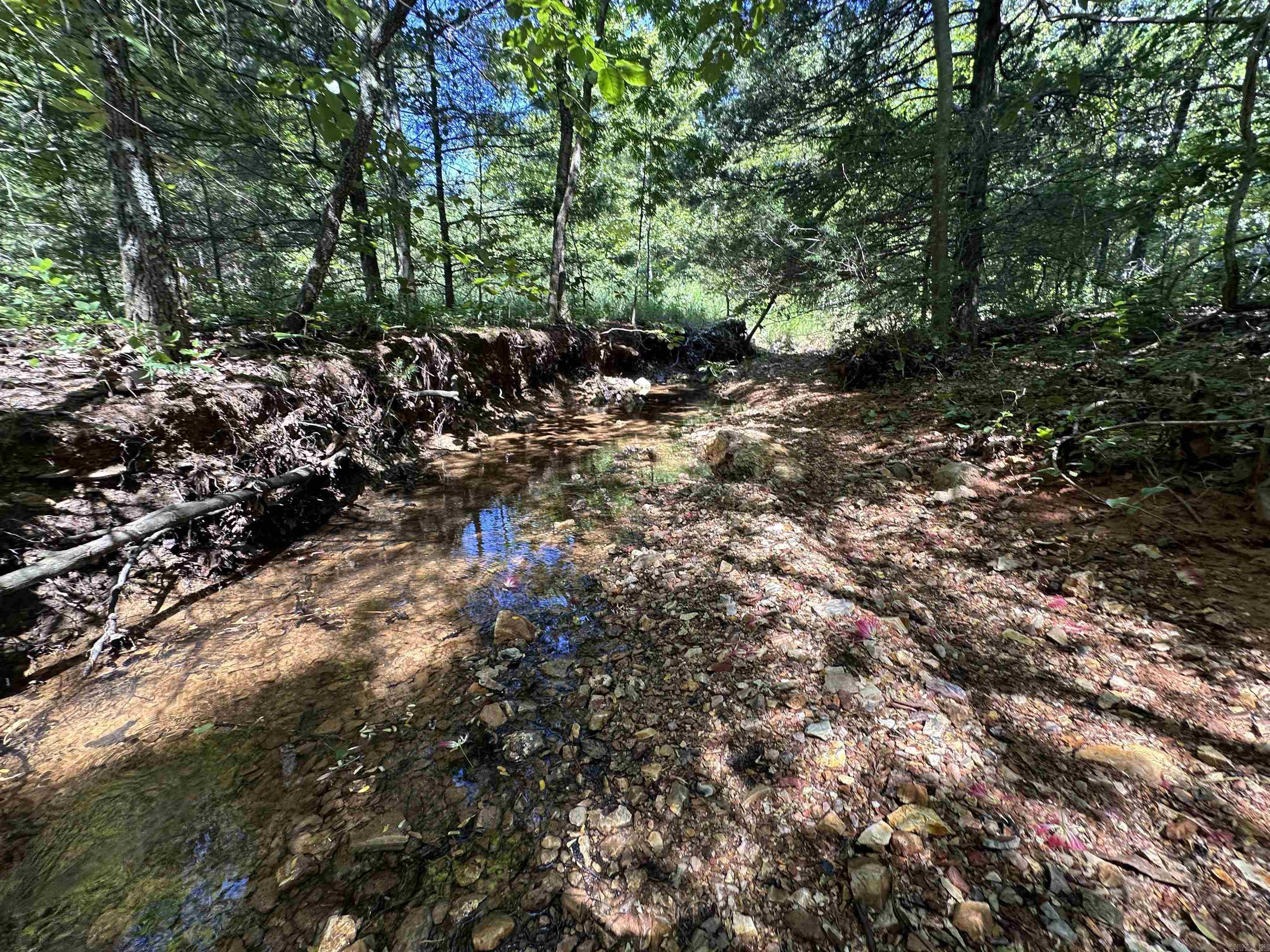 Photo 21 - Vacant Land for sale –   Big Creek Rd   Hardy, AR