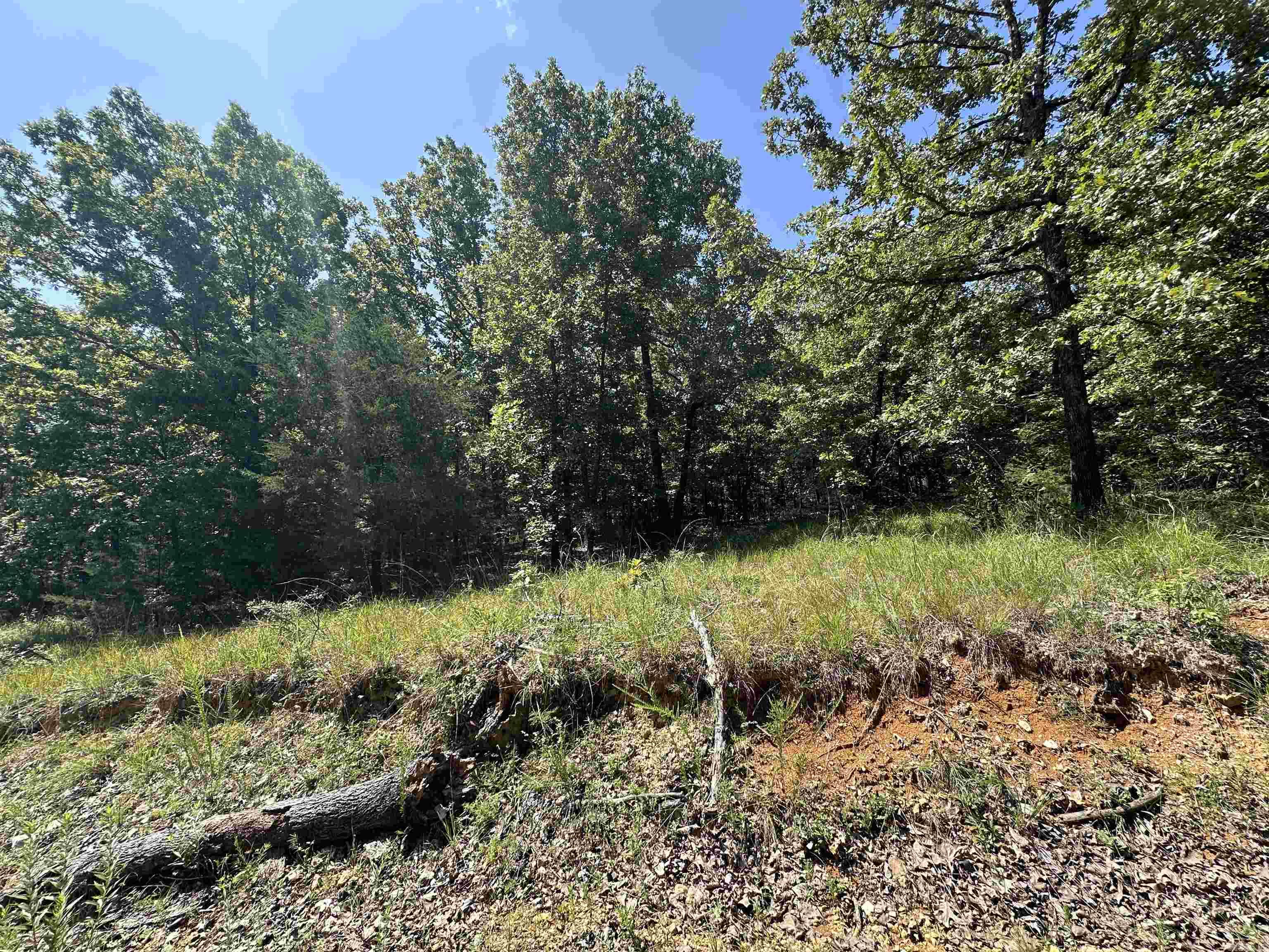 Photo 22 - Vacant Land for sale –   Big Creek Rd   Hardy, AR
