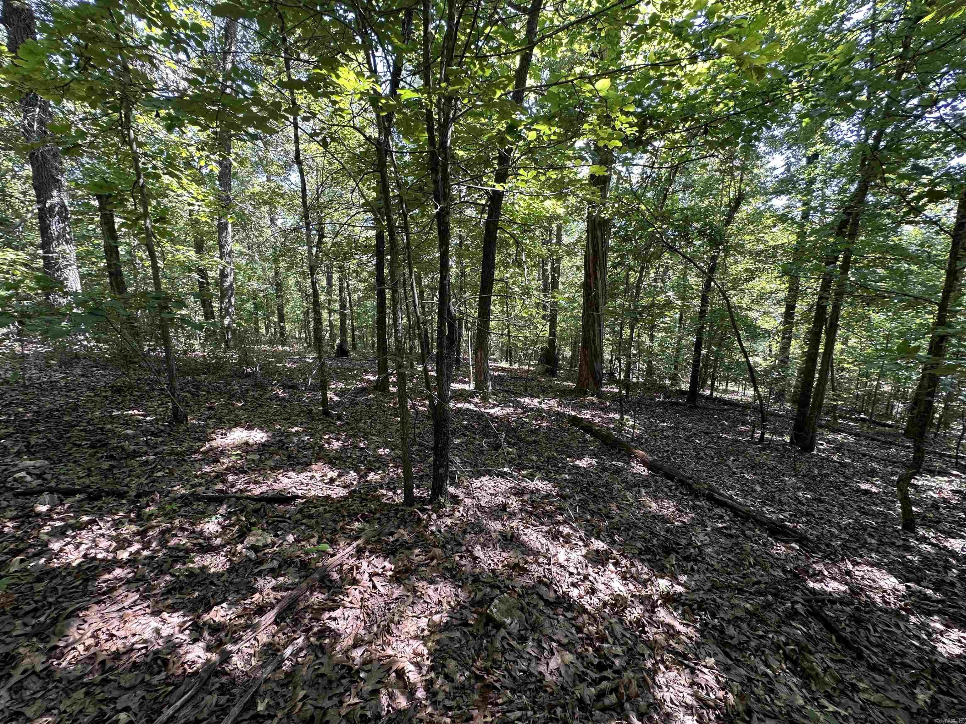Photo 23 - Vacant Land for sale –   Big Creek Rd   Hardy, AR