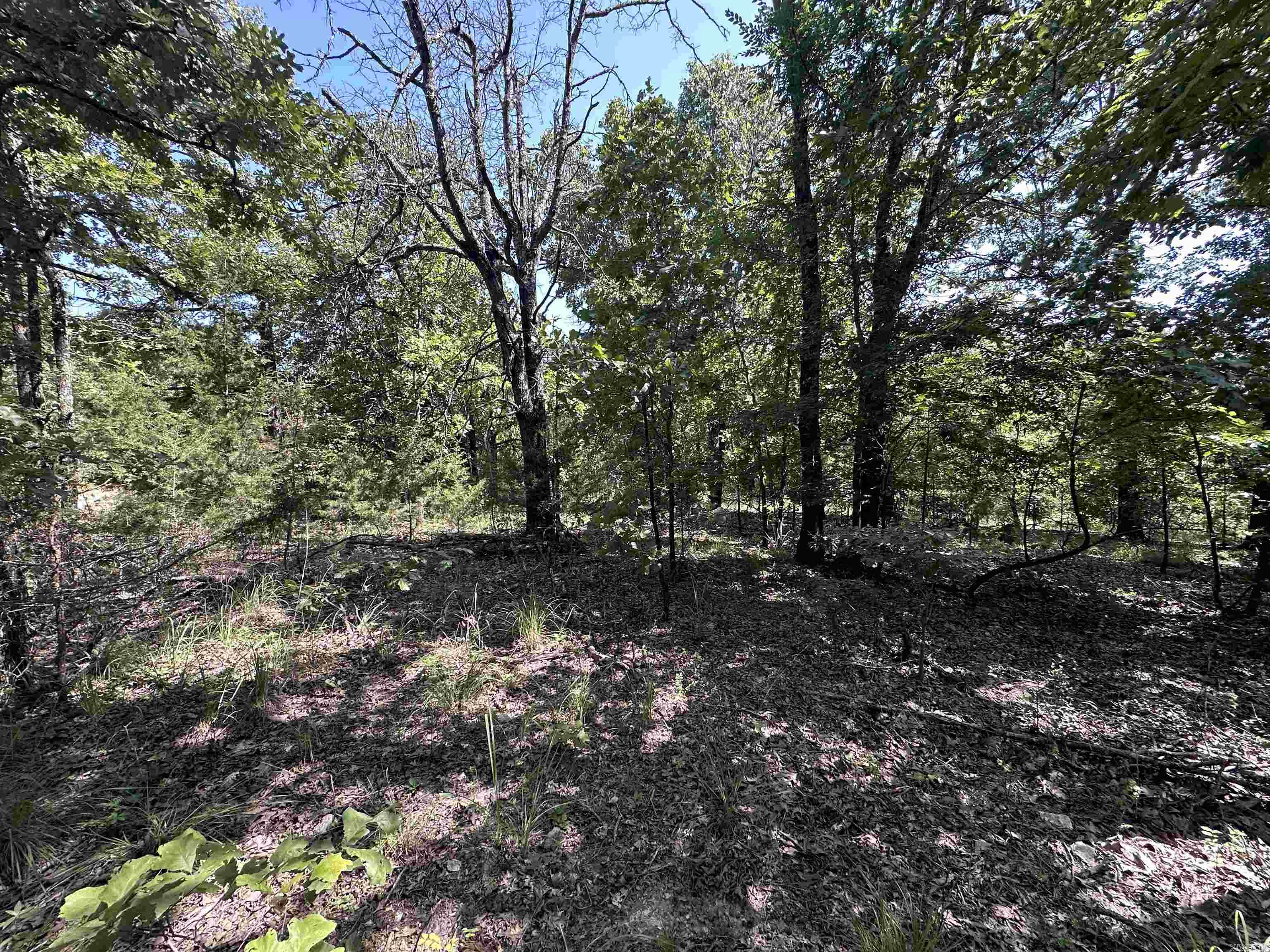 Photo 24 - Vacant Land for sale –   Big Creek Rd   Hardy, AR