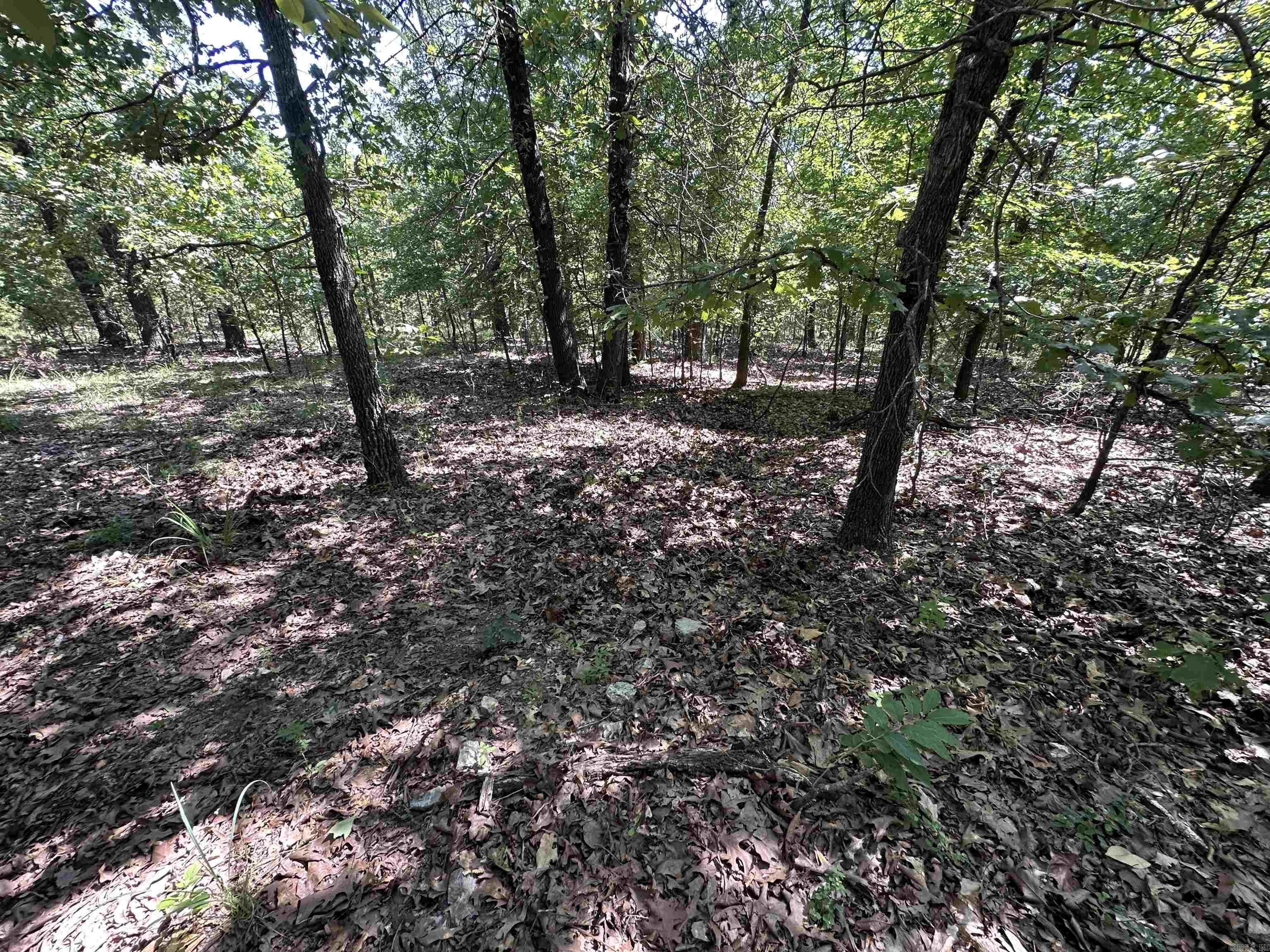 Photo 25 - Vacant Land for sale –   Big Creek Rd   Hardy, AR
