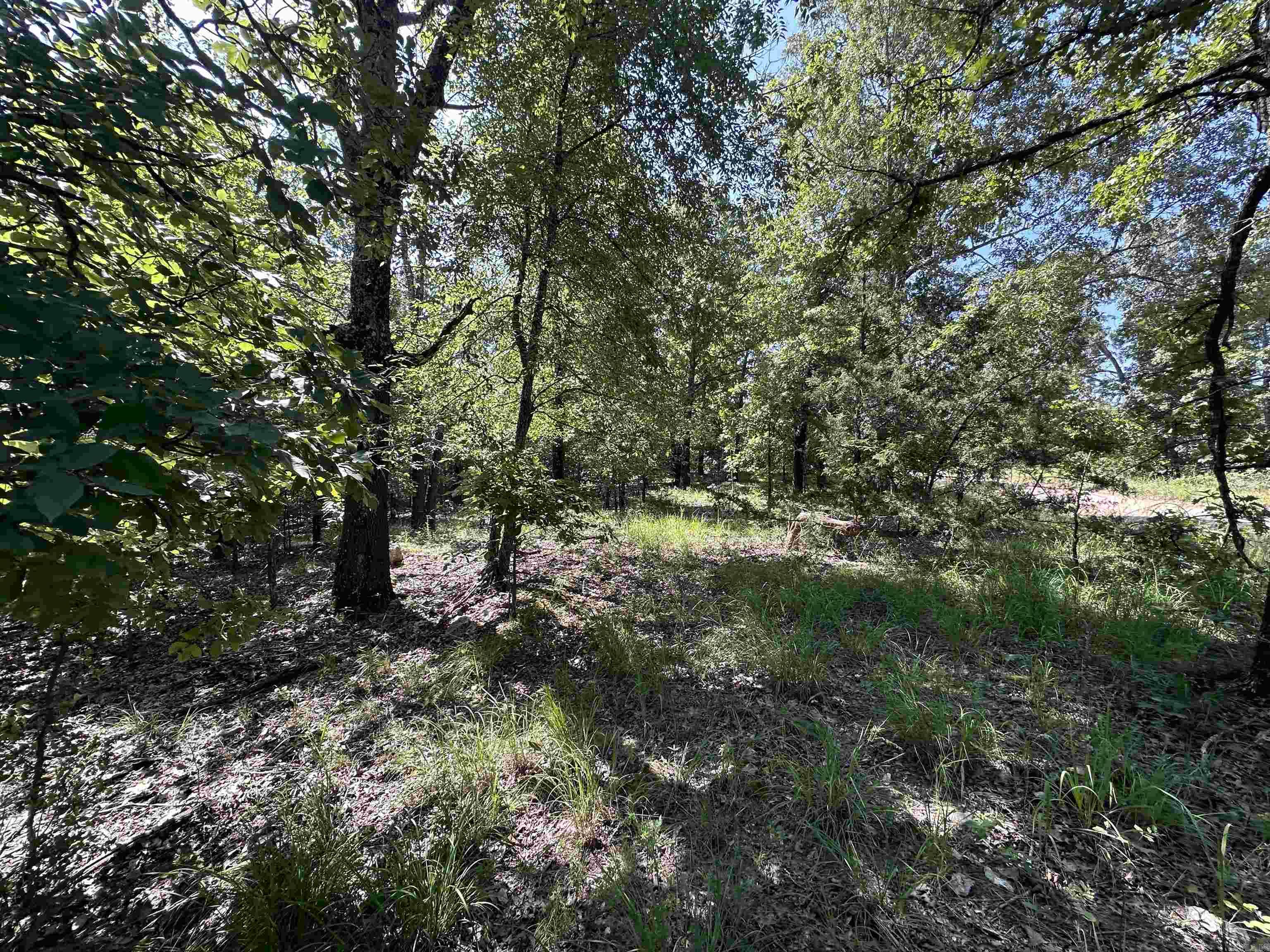 Photo 26 - Vacant Land for sale –   Big Creek Rd   Hardy, AR