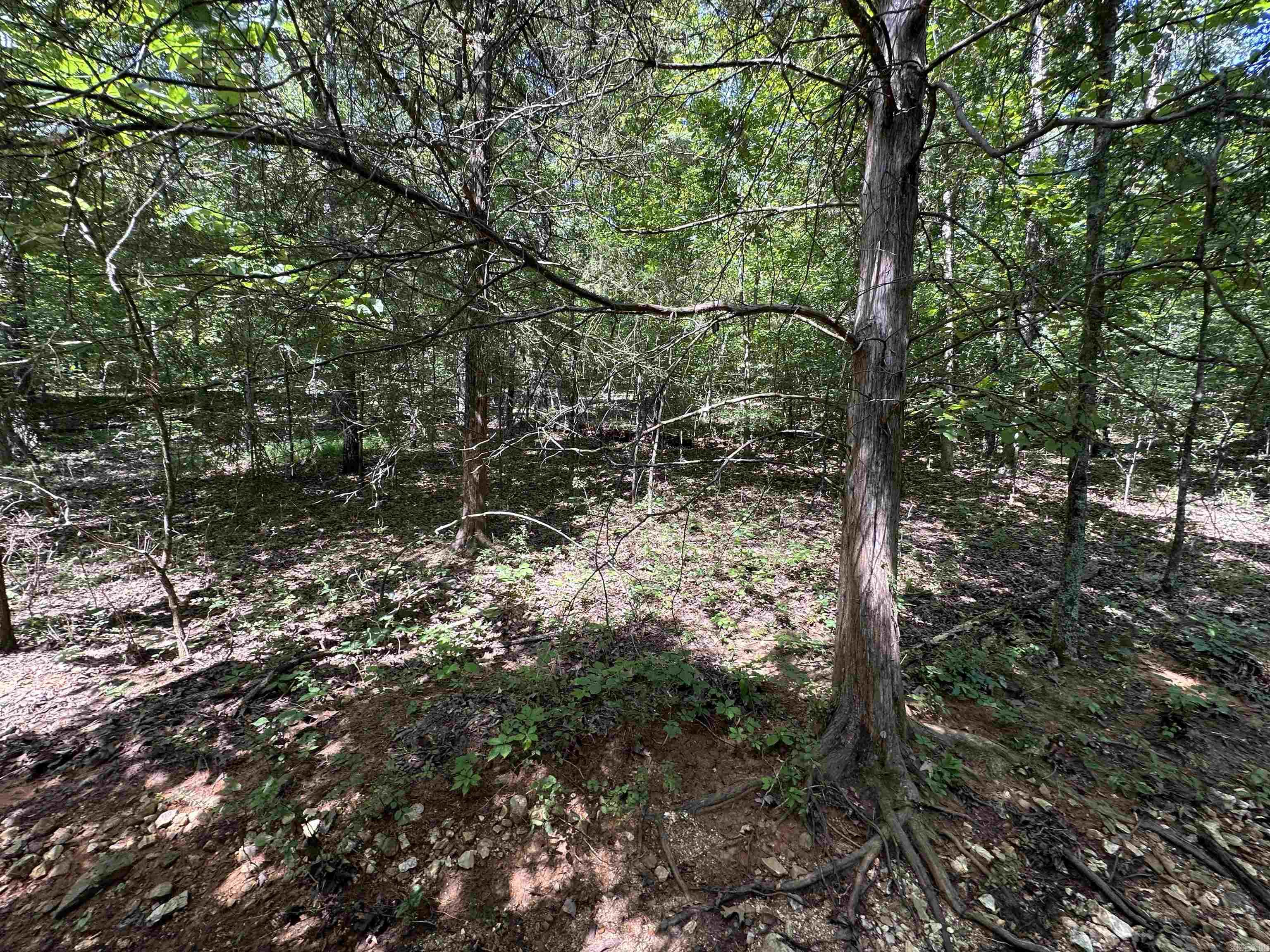 Photo 4 - Vacant Land for sale –   Big Creek Rd   Hardy, AR
