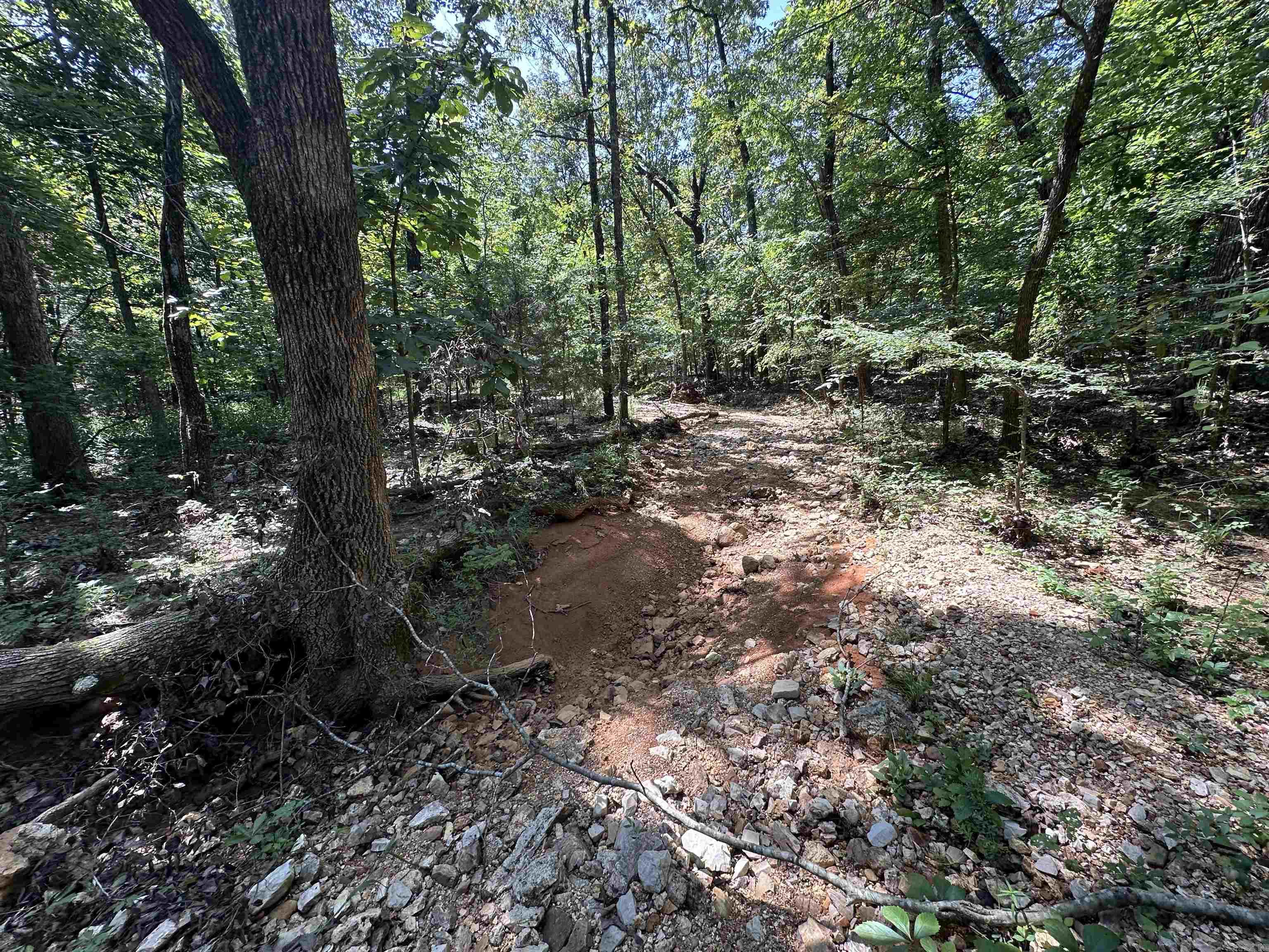 Photo 5 - Vacant Land for sale –   Big Creek Rd   Hardy, AR