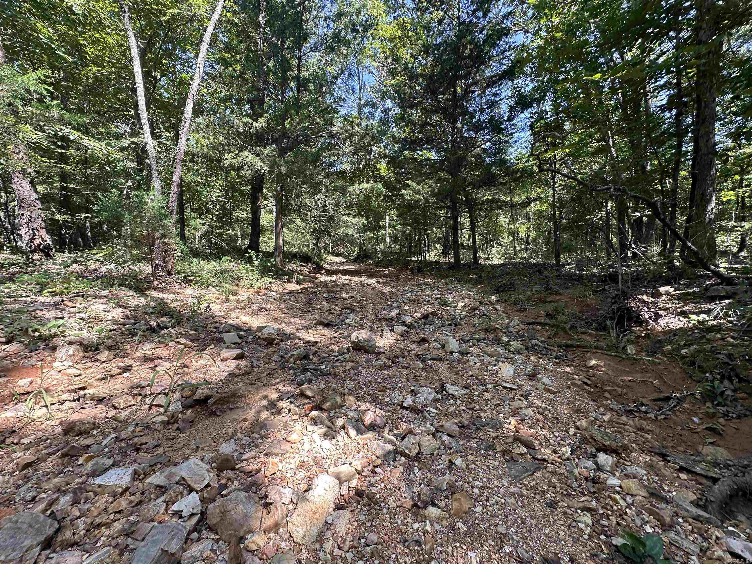 Photo 6 - Vacant Land for sale –   Big Creek Rd   Hardy, AR
