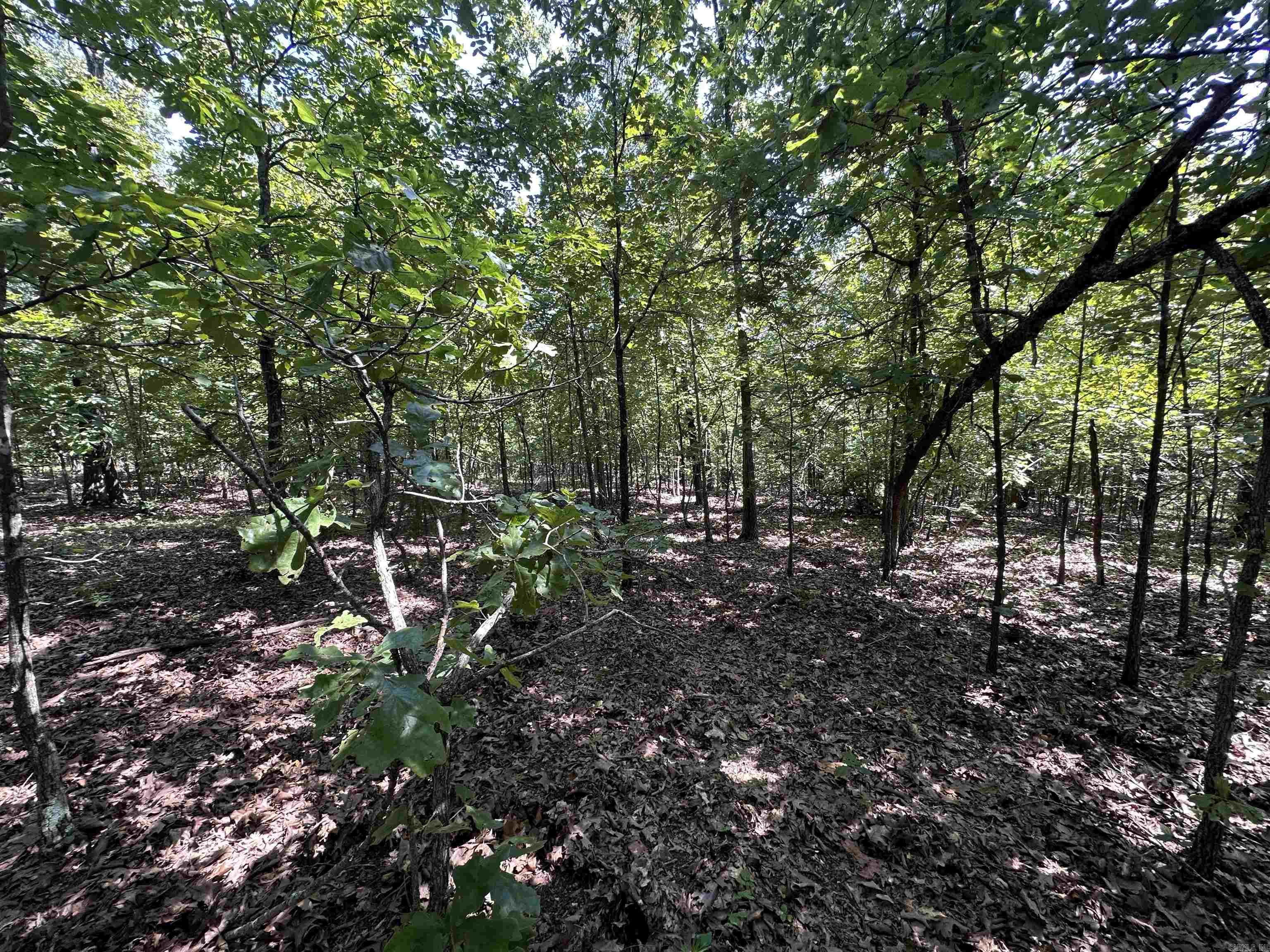 Photo 7 - Vacant Land for sale –   Big Creek Rd   Hardy, AR