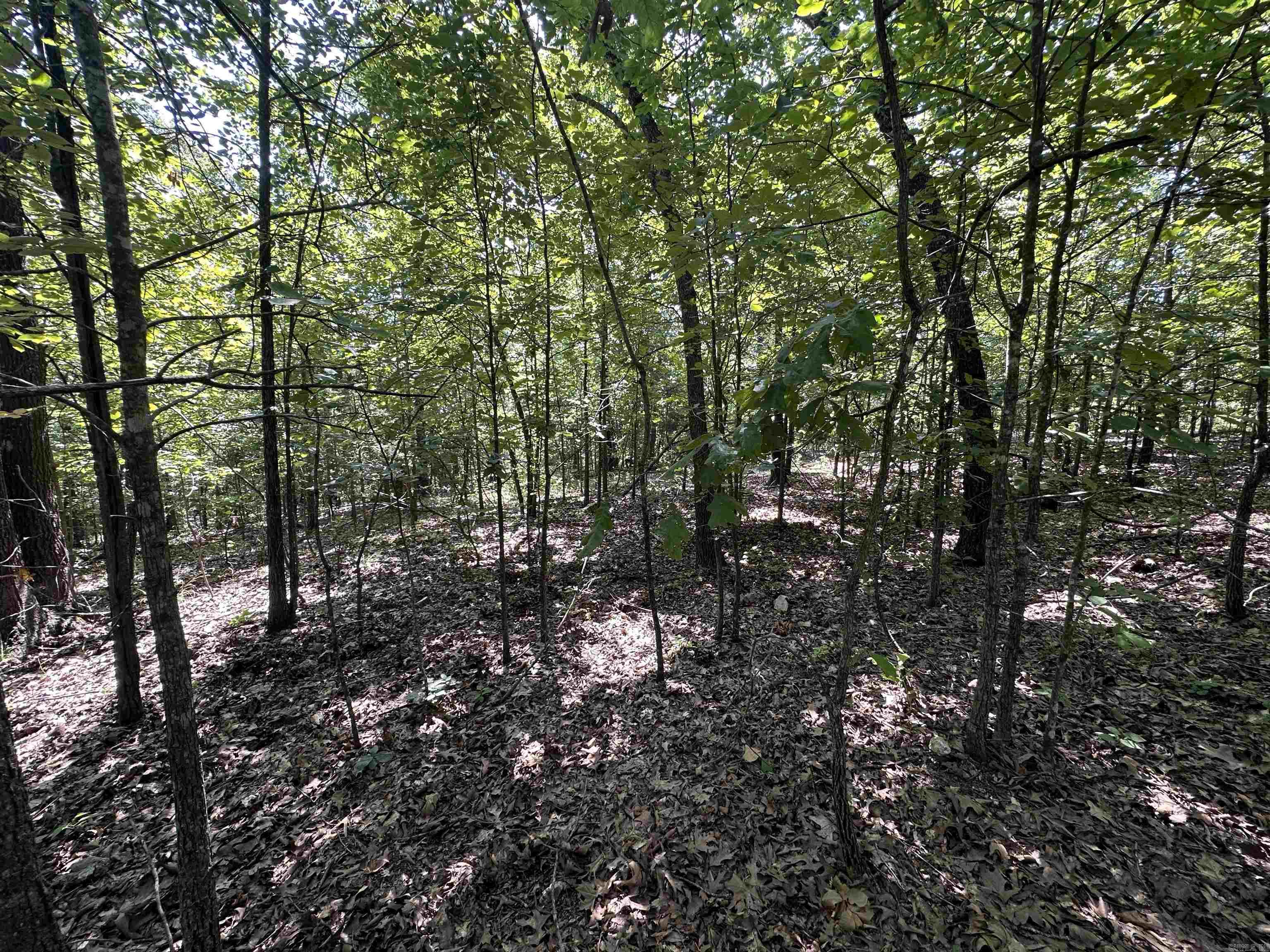 Photo 8 - Vacant Land for sale –   Big Creek Rd   Hardy, AR