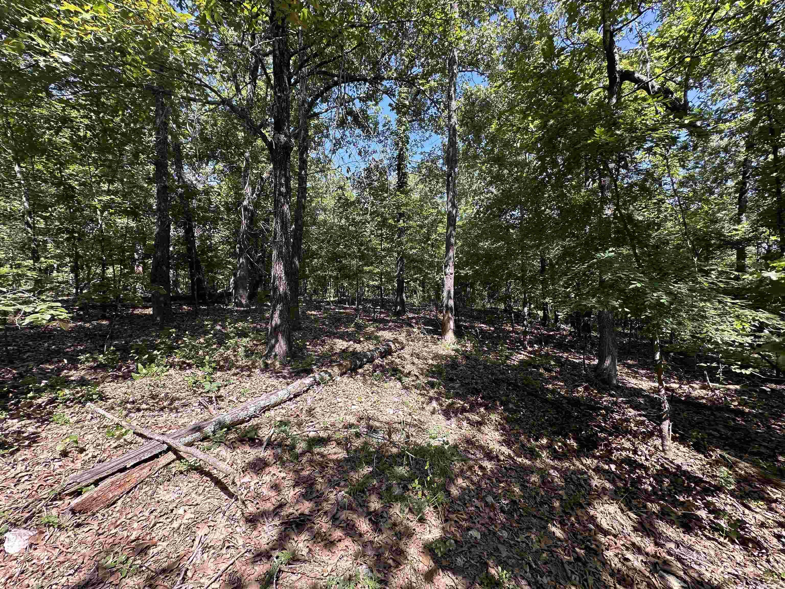 Photo 9 - Vacant Land for sale –   Big Creek Rd   Hardy, AR