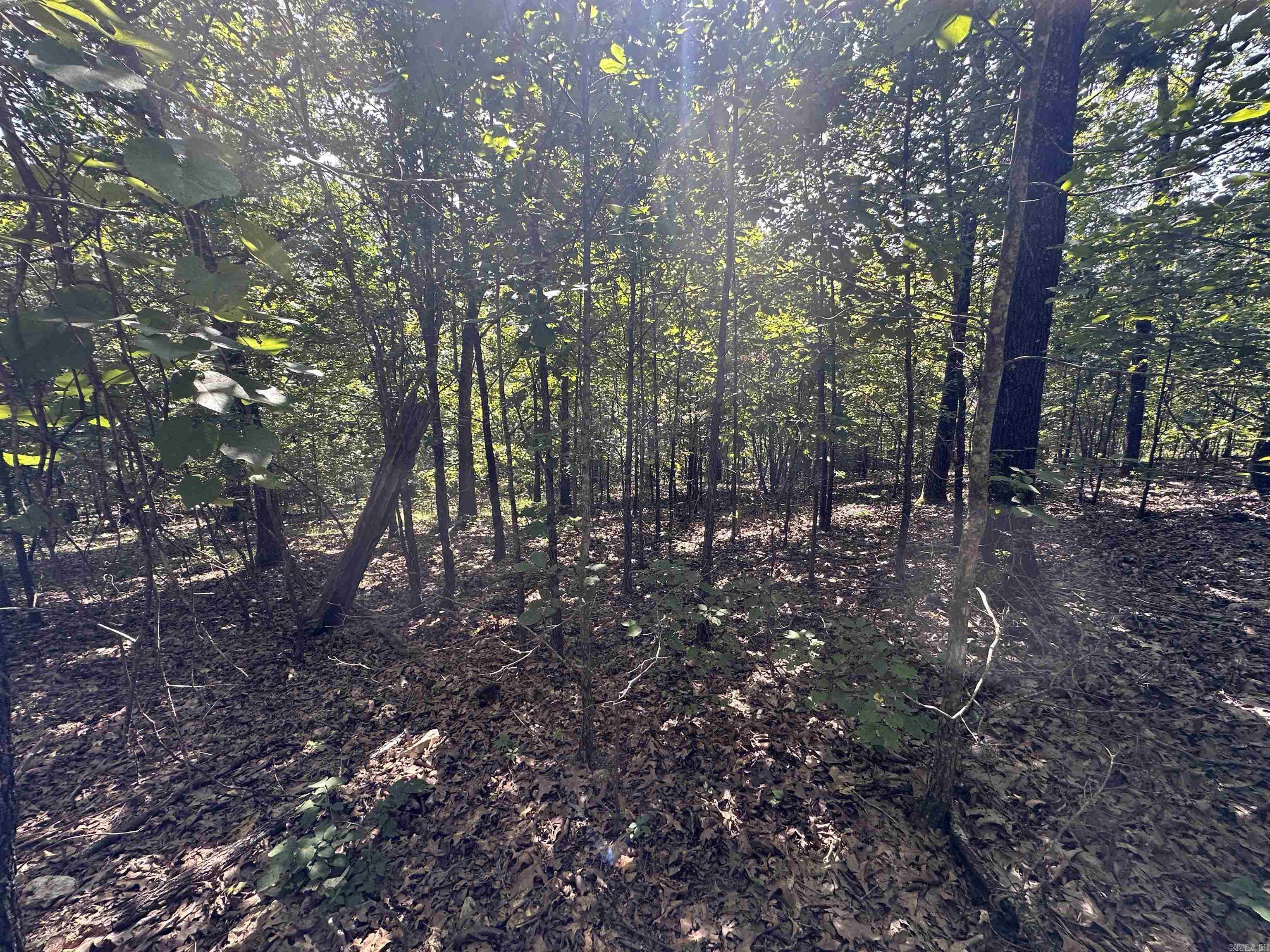 Photo 10 - Vacant Land for sale –   Big Creek Rd   Hardy, AR