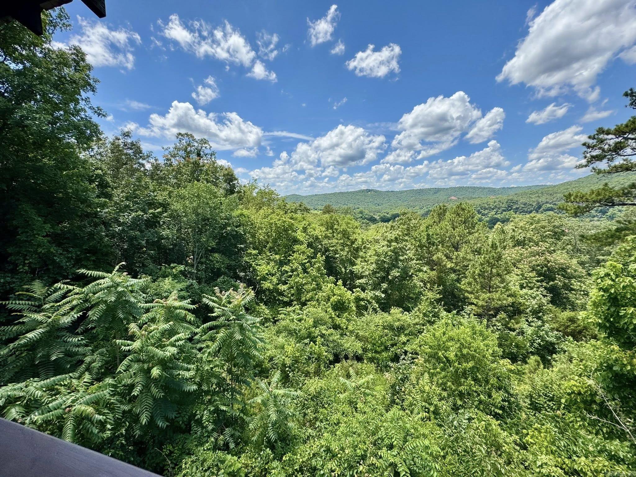 Photo 39 - Residential for sale – 22  Sylamore Vista   Mountain View, AR