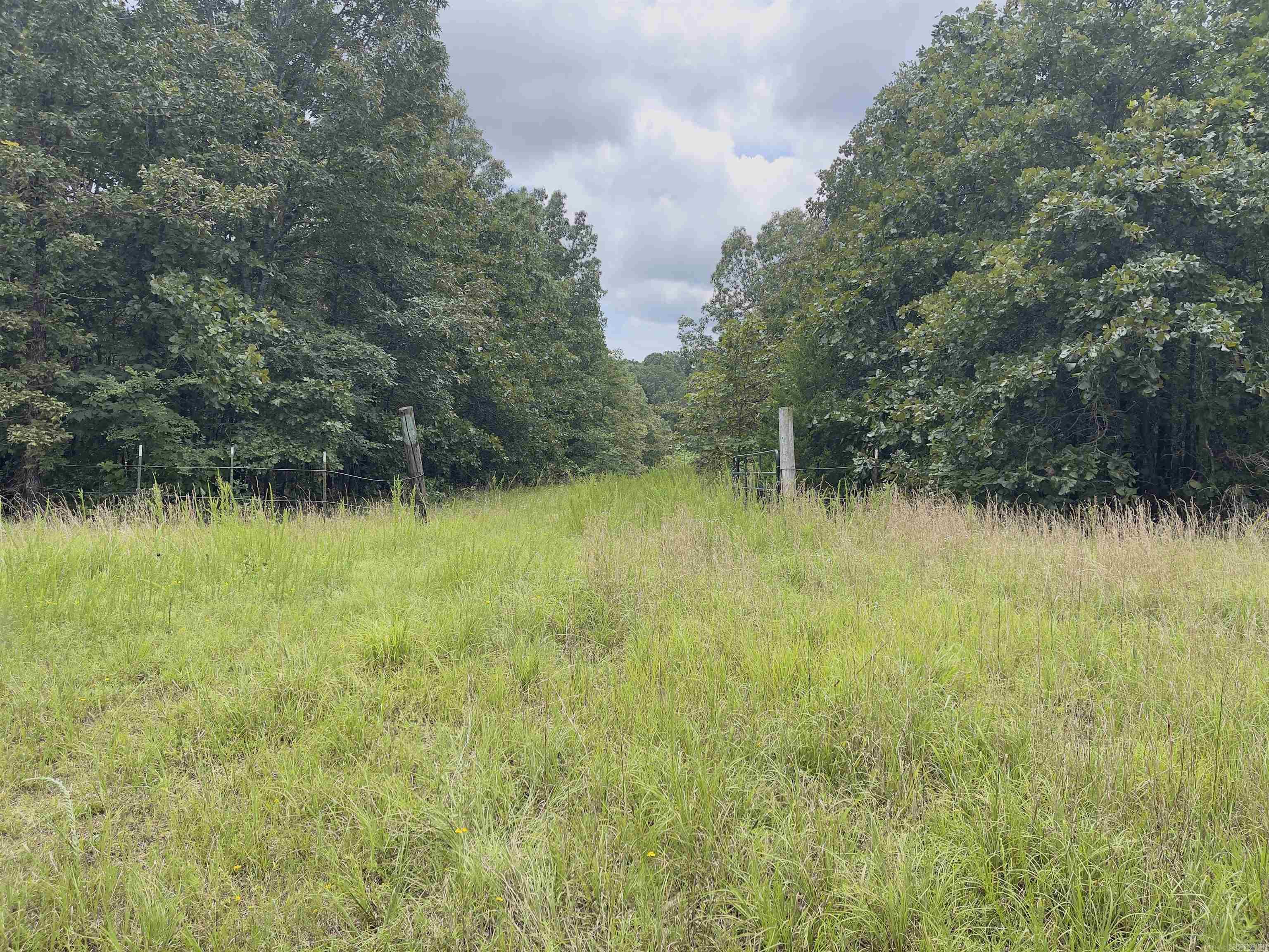 Photo 2 - Vacant Land for sale – TBD  Turkey Springs Ranch Ln   Highland, AR