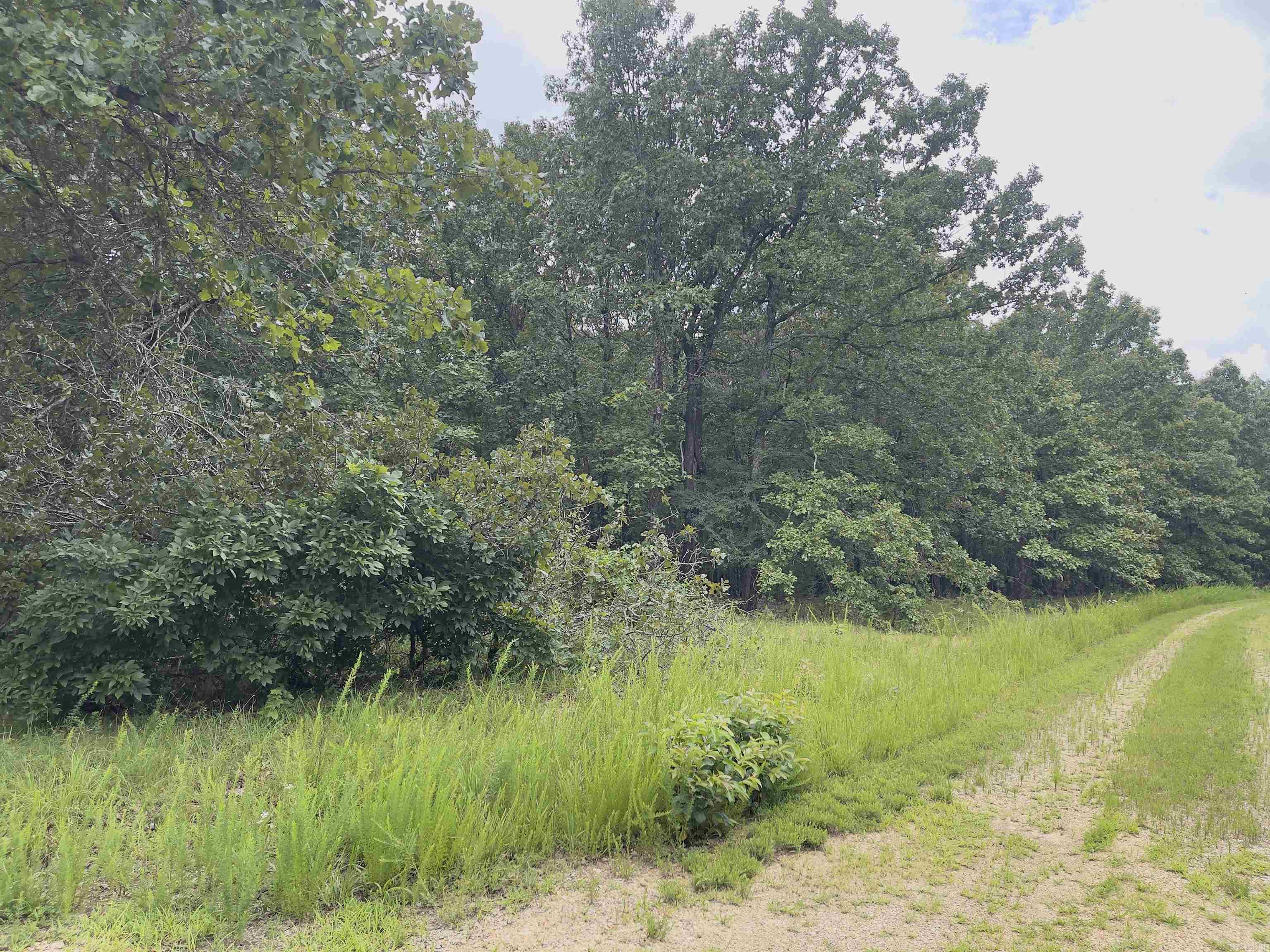 Photo 11 - Vacant Land for sale – TBD  Turkey Springs Ranch Ln   Highland, AR
