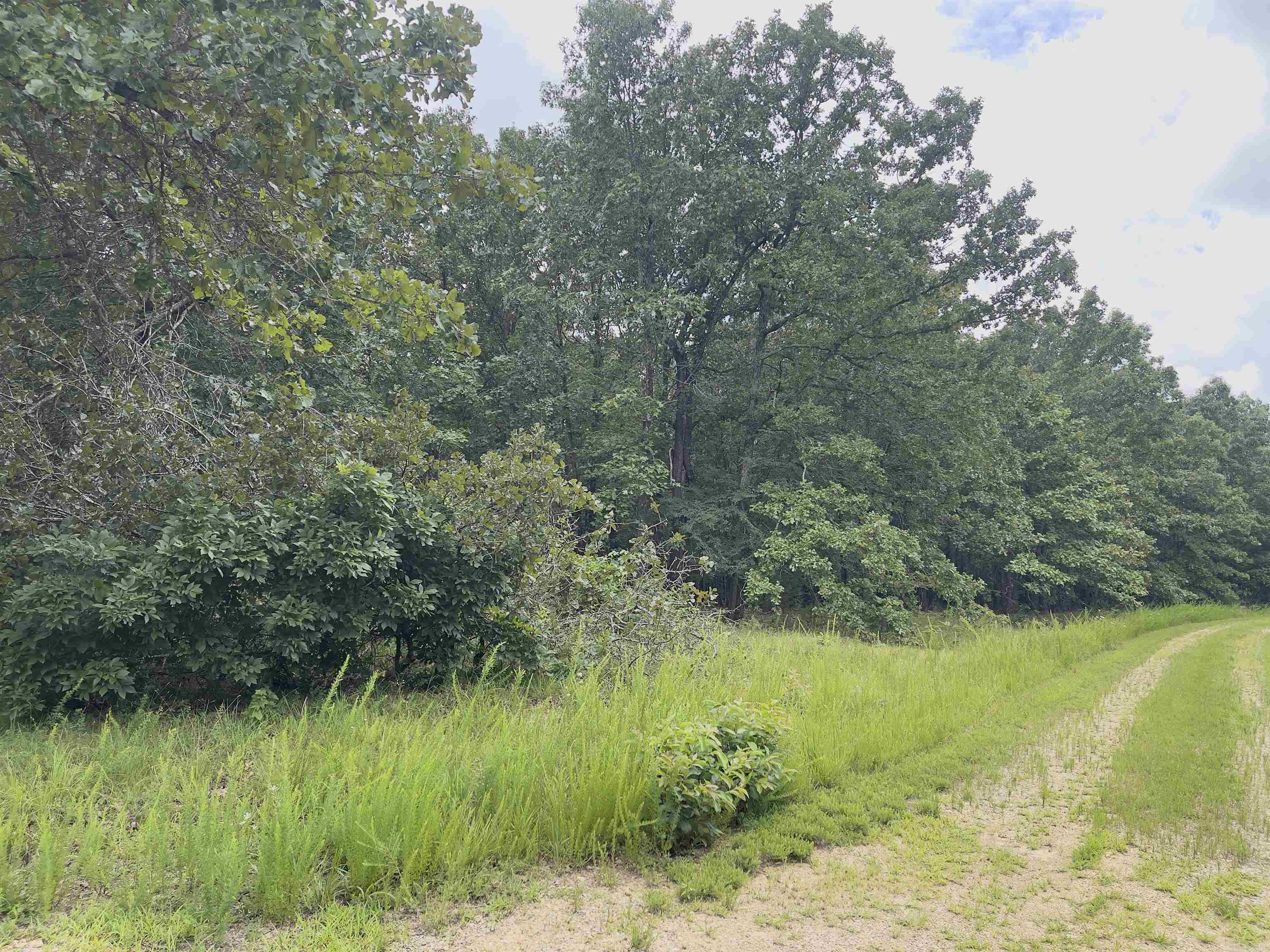 Photo 12 - Vacant Land for sale – TBD  Turkey Springs Ranch Ln   Highland, AR