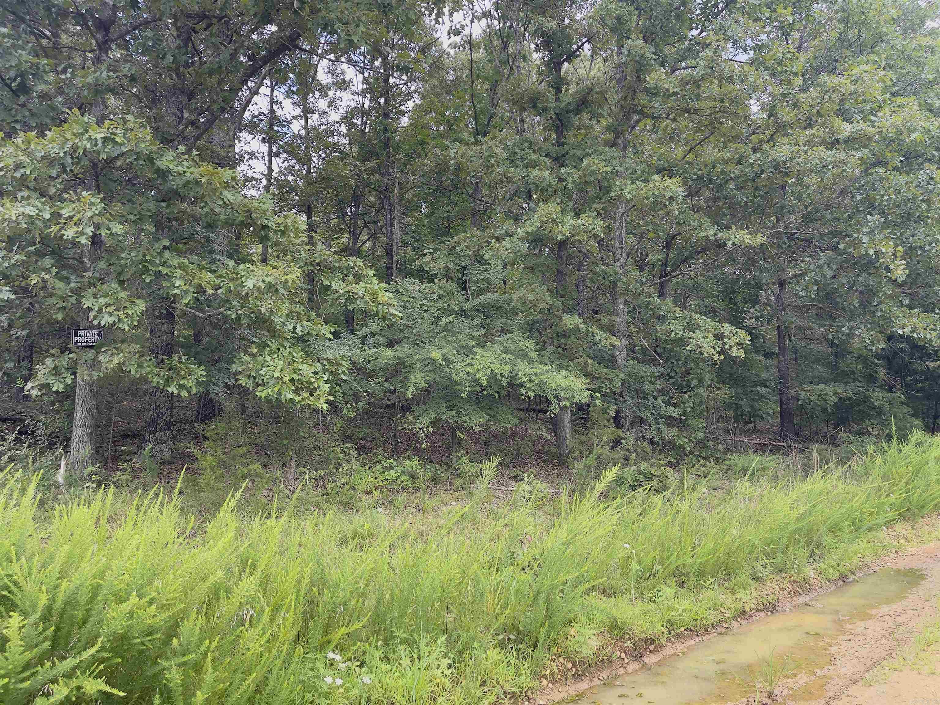 Photo 13 - Vacant Land for sale – TBD  Turkey Springs Ranch Ln   Highland, AR