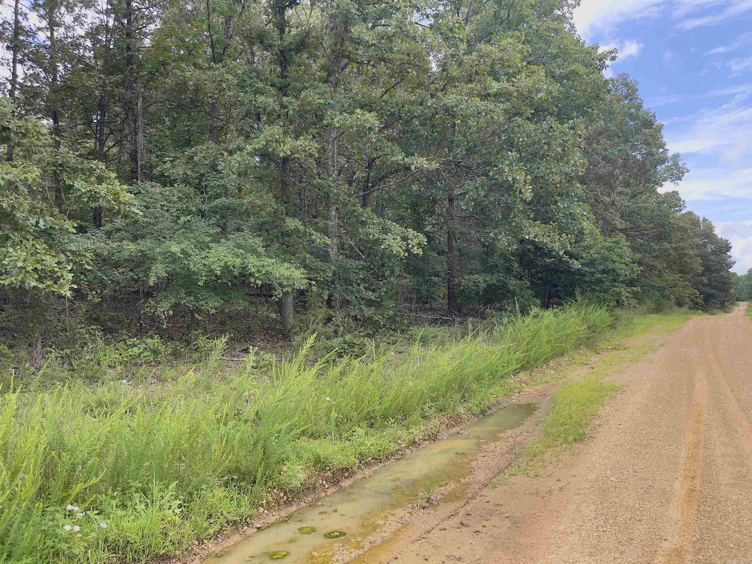 Photo 14 - Vacant Land for sale – TBD  Turkey Springs Ranch Ln   Highland, AR