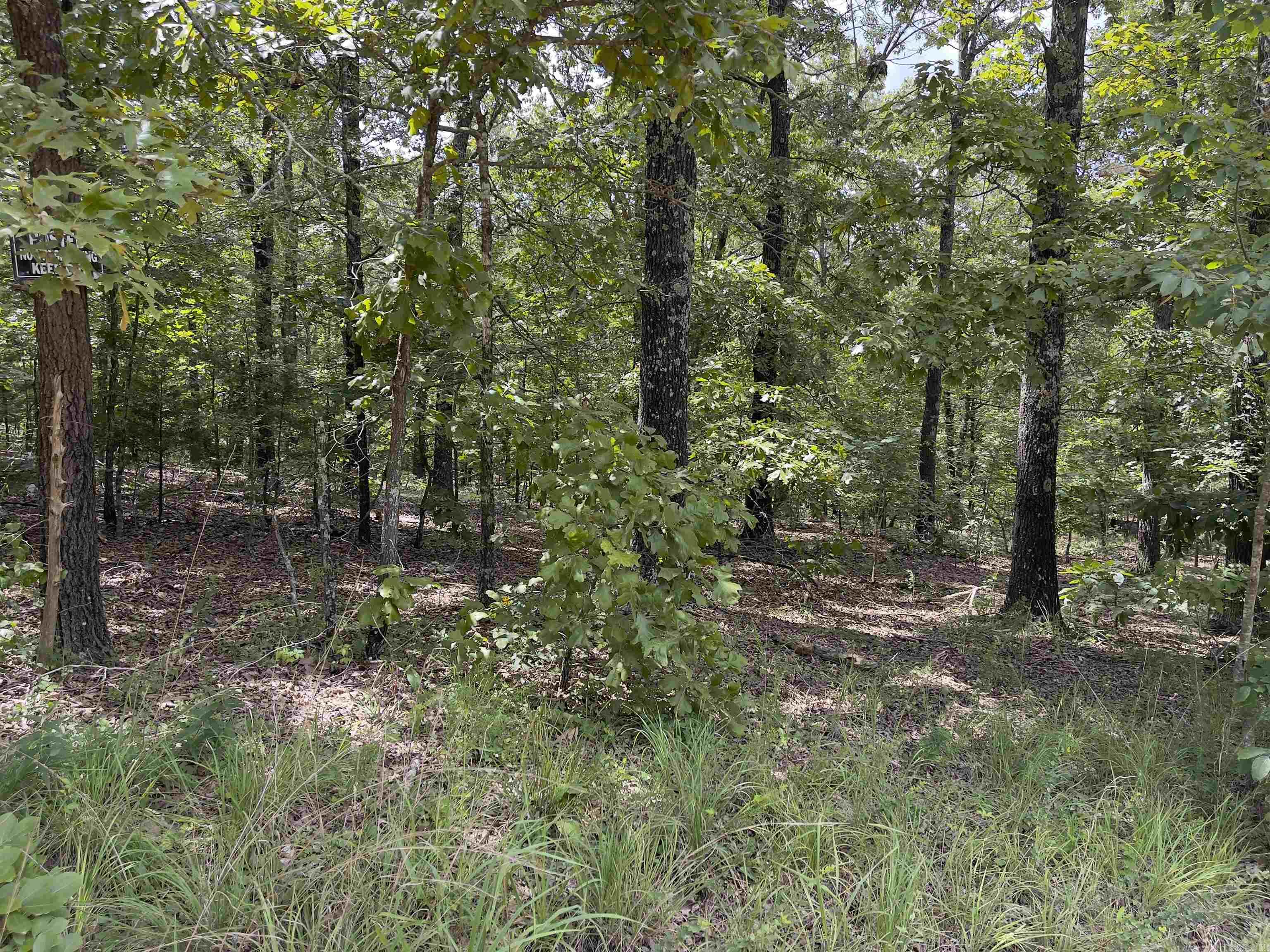Photo 17 - Vacant Land for sale – TBD  Turkey Springs Ranch Ln   Highland, AR