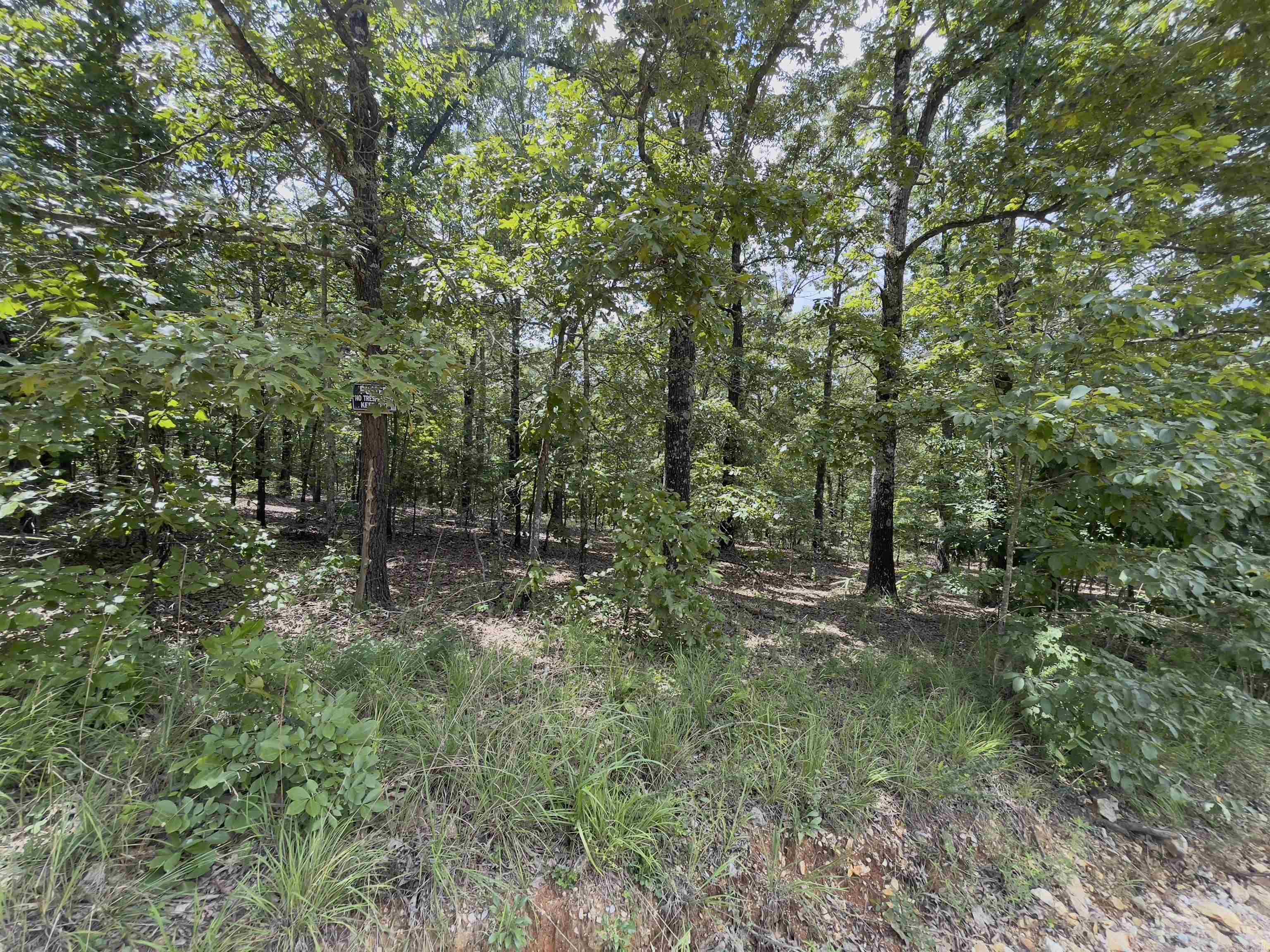 Photo 19 - Vacant Land for sale – TBD  Turkey Springs Ranch Ln   Highland, AR