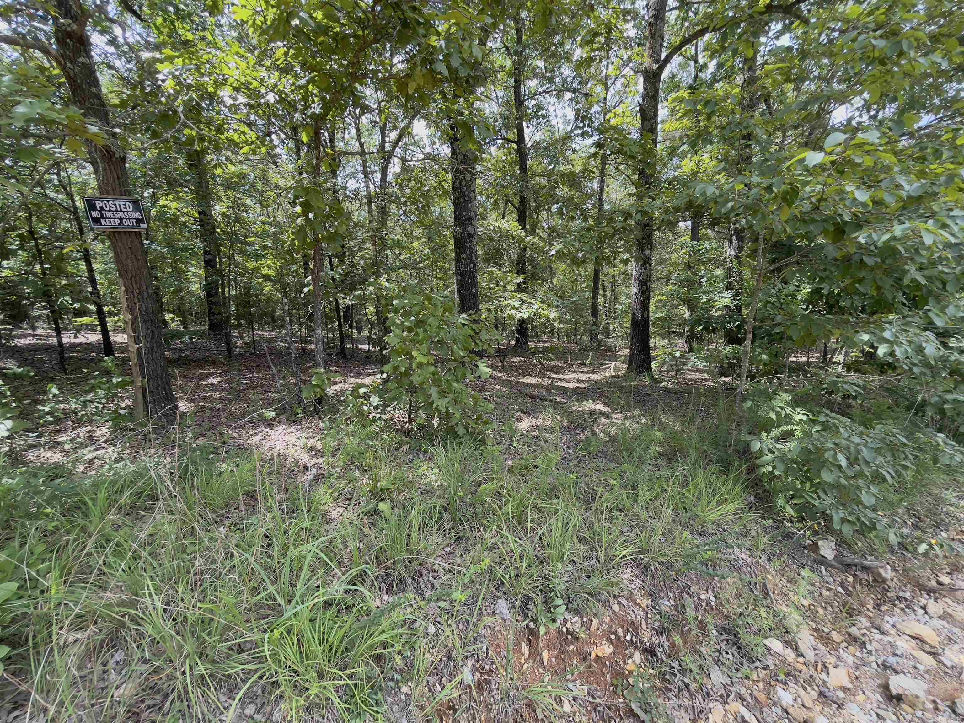 Photo 20 - Vacant Land for sale – TBD  Turkey Springs Ranch Ln   Highland, AR