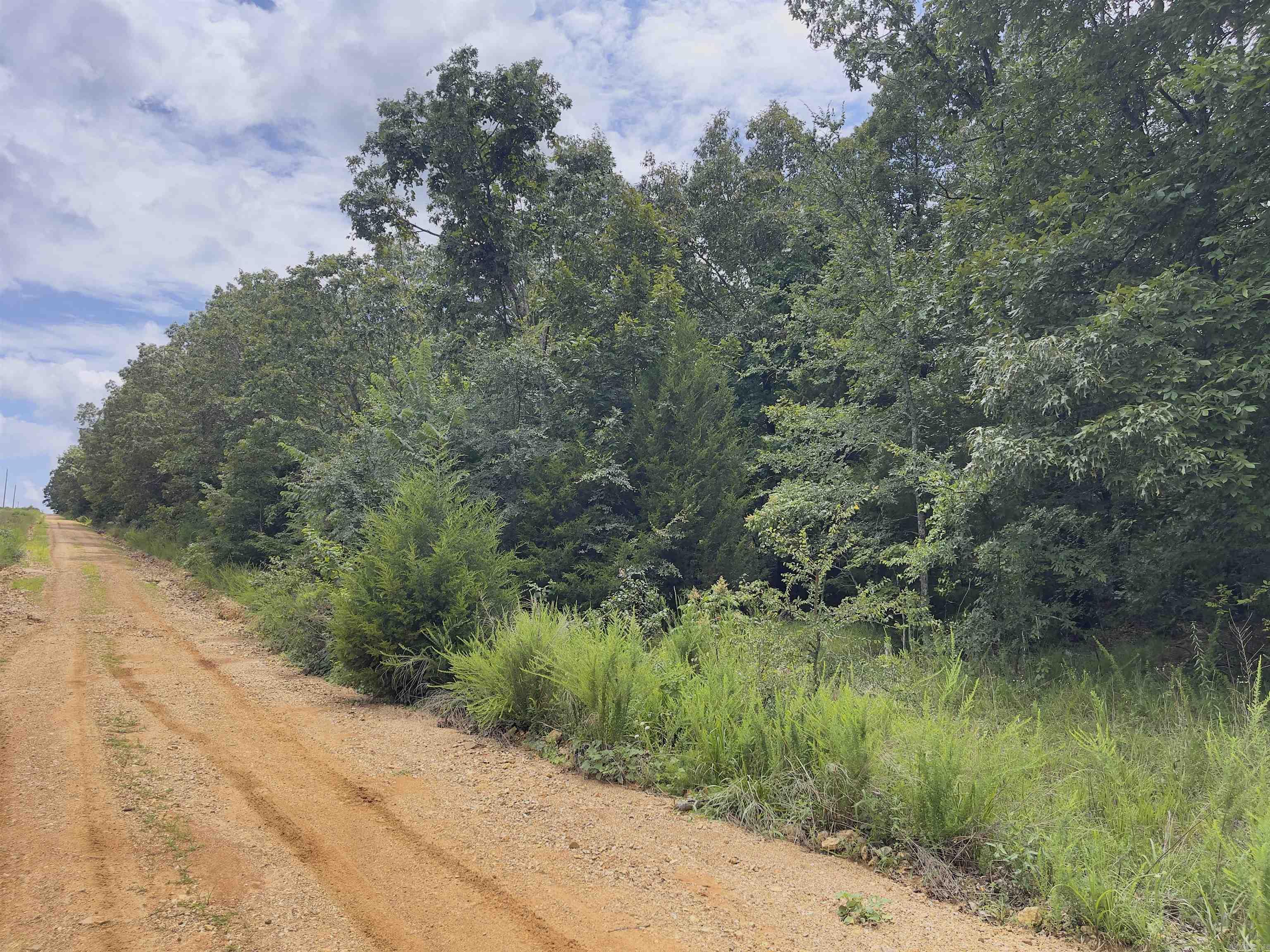 Photo 23 - Vacant Land for sale – TBD  Turkey Springs Ranch Ln   Highland, AR